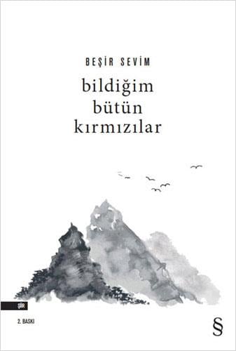 bildigim-butun-kirmizilar-e803-4.jpg