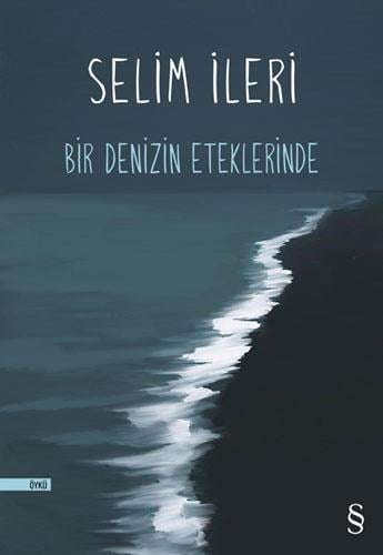 bir-denizin-eteklerinde-178757.jpg
