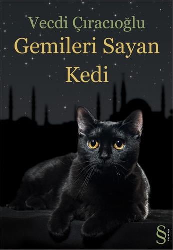 gemileri-sayan-kedi-1c73c9.jpg