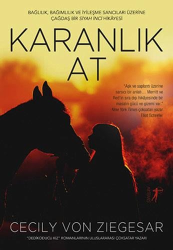 karanlik-at-025ee1.jpg