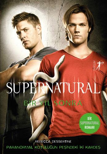 supernatural-bir-yil-sonra-58772c.jpg