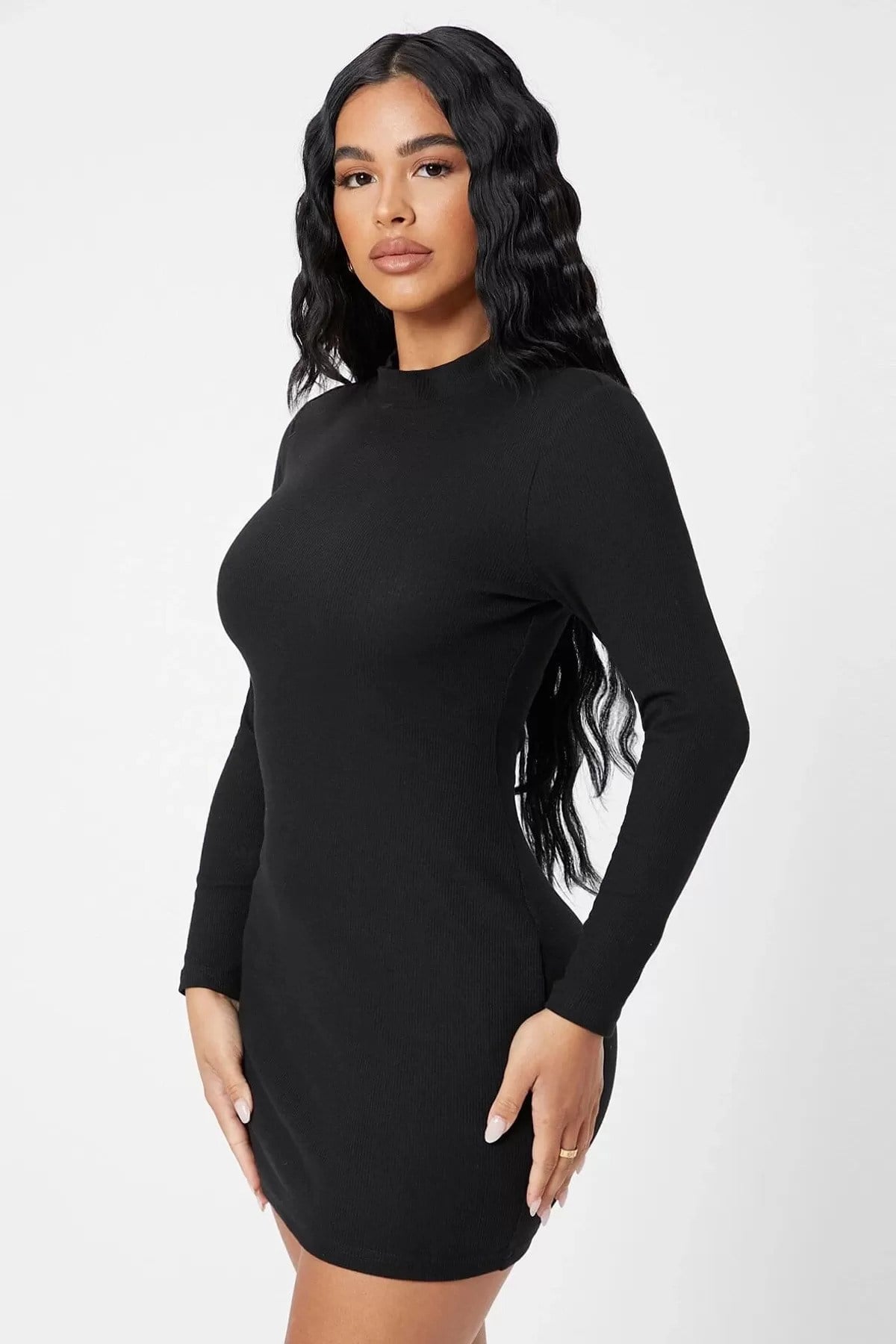 Siyah Kaşkorse Balıkçı Yaka Uzun Kollu Bodycon Mini Elbise