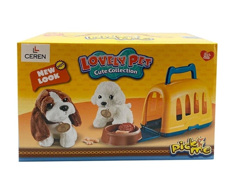 KÖPEK TAŞIMA SETİ
