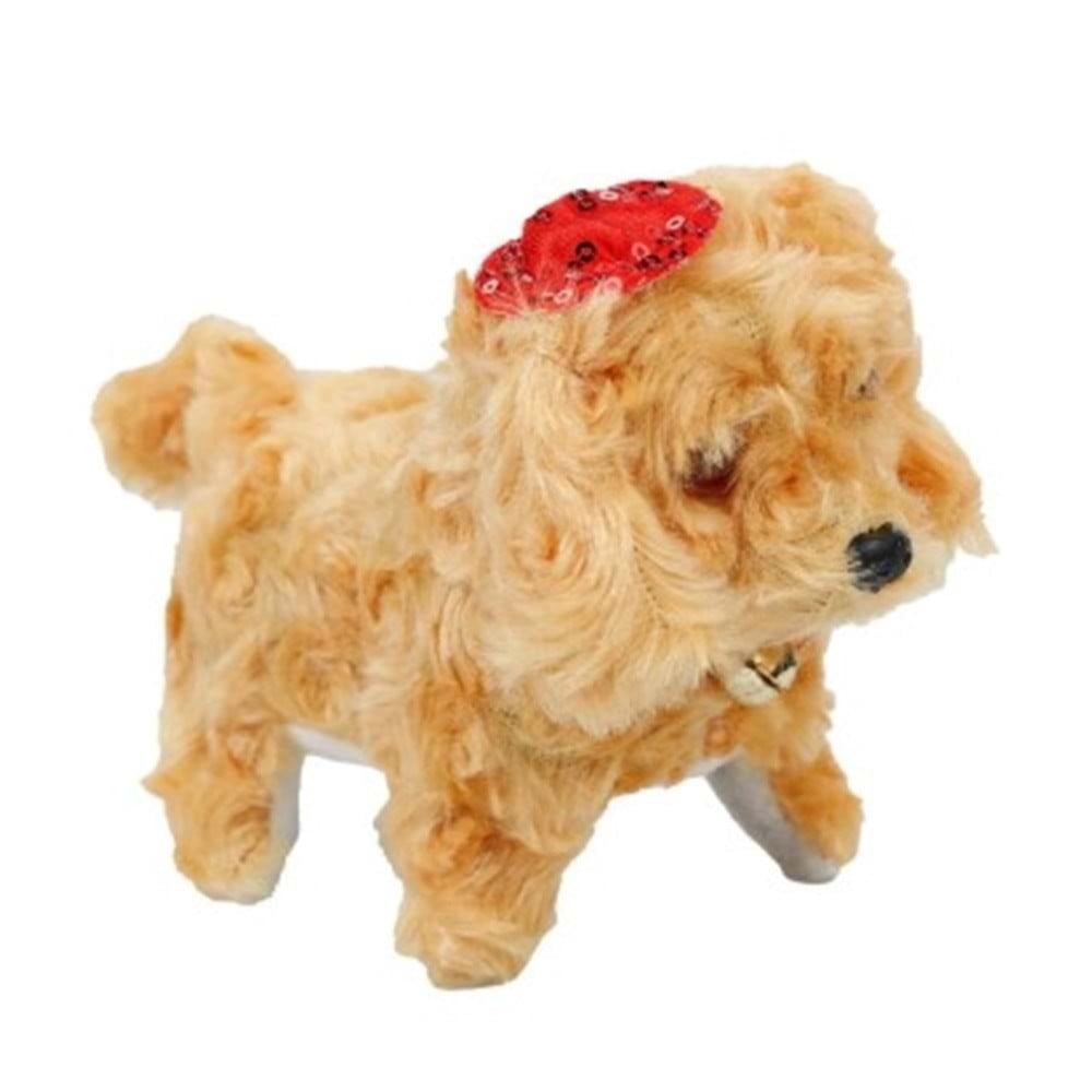 Şapkalı Köpek