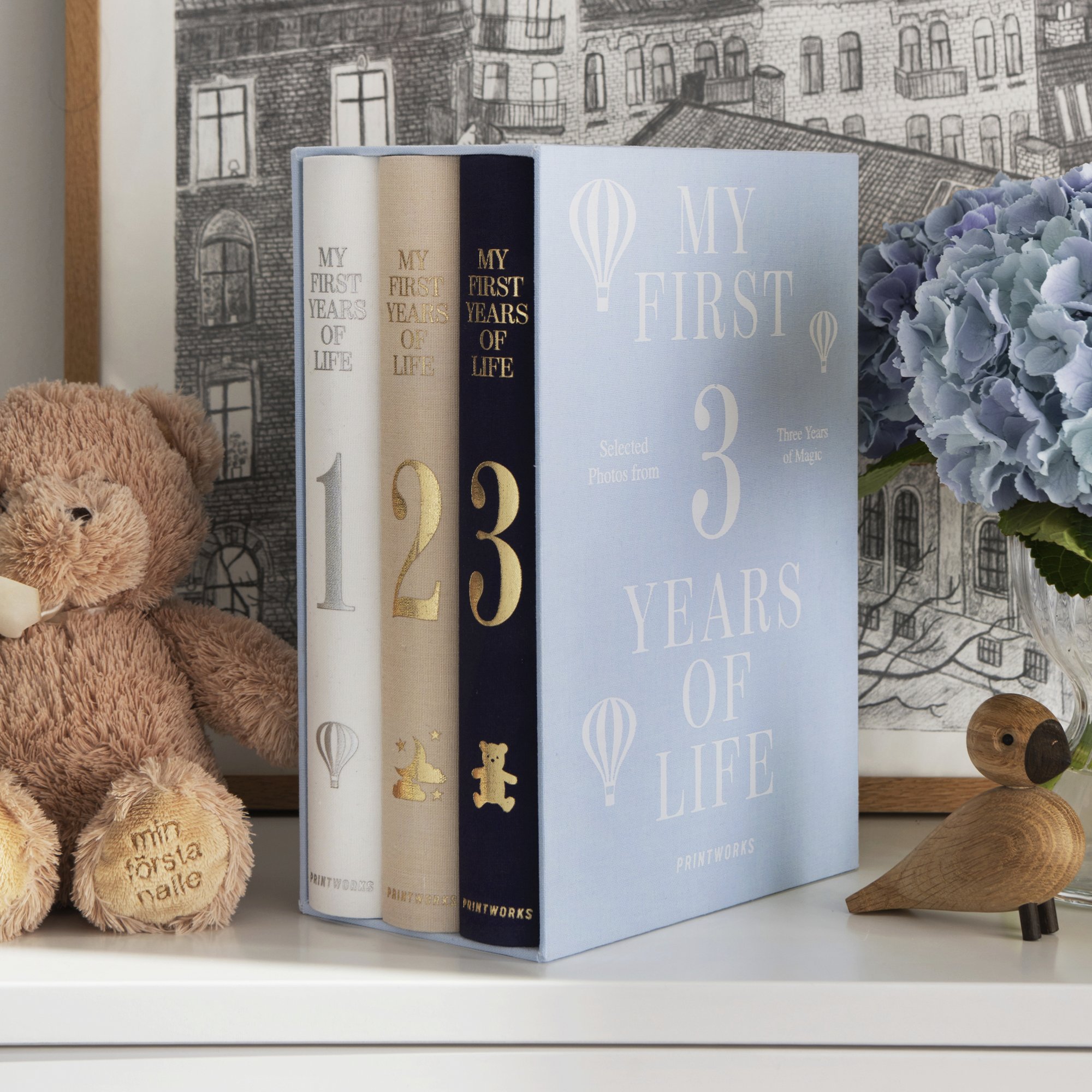 3'lü Fotoğraf Albümü: My First 3 Years