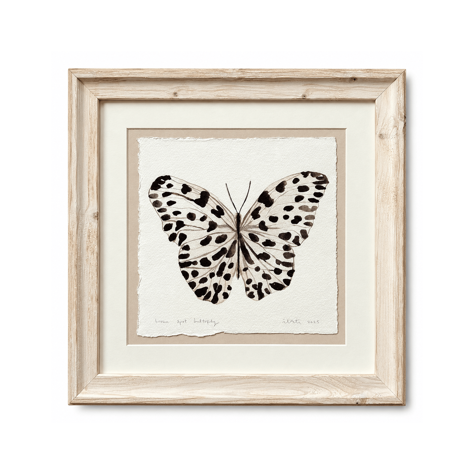 Framed Original Artwork: Spot Butterfly (Brown)