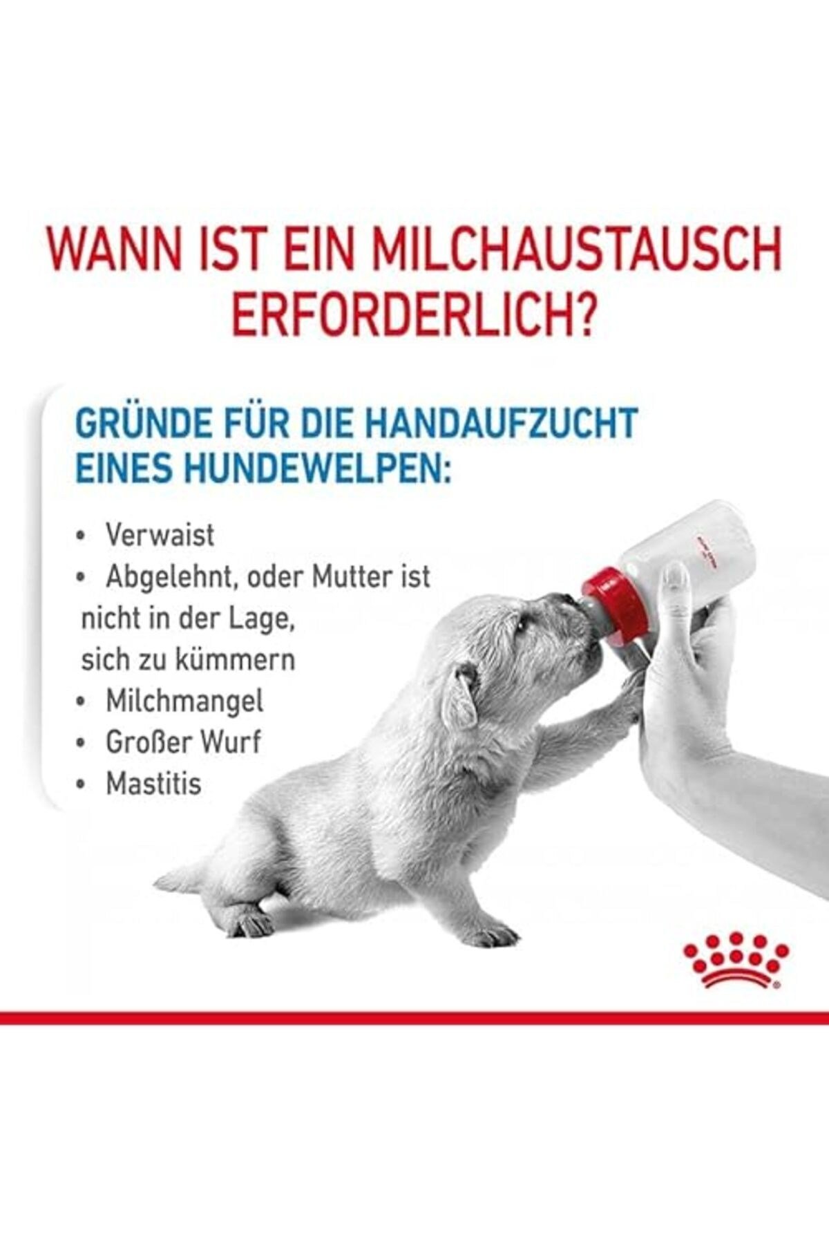 Baby Dog Milk 400 Gr
