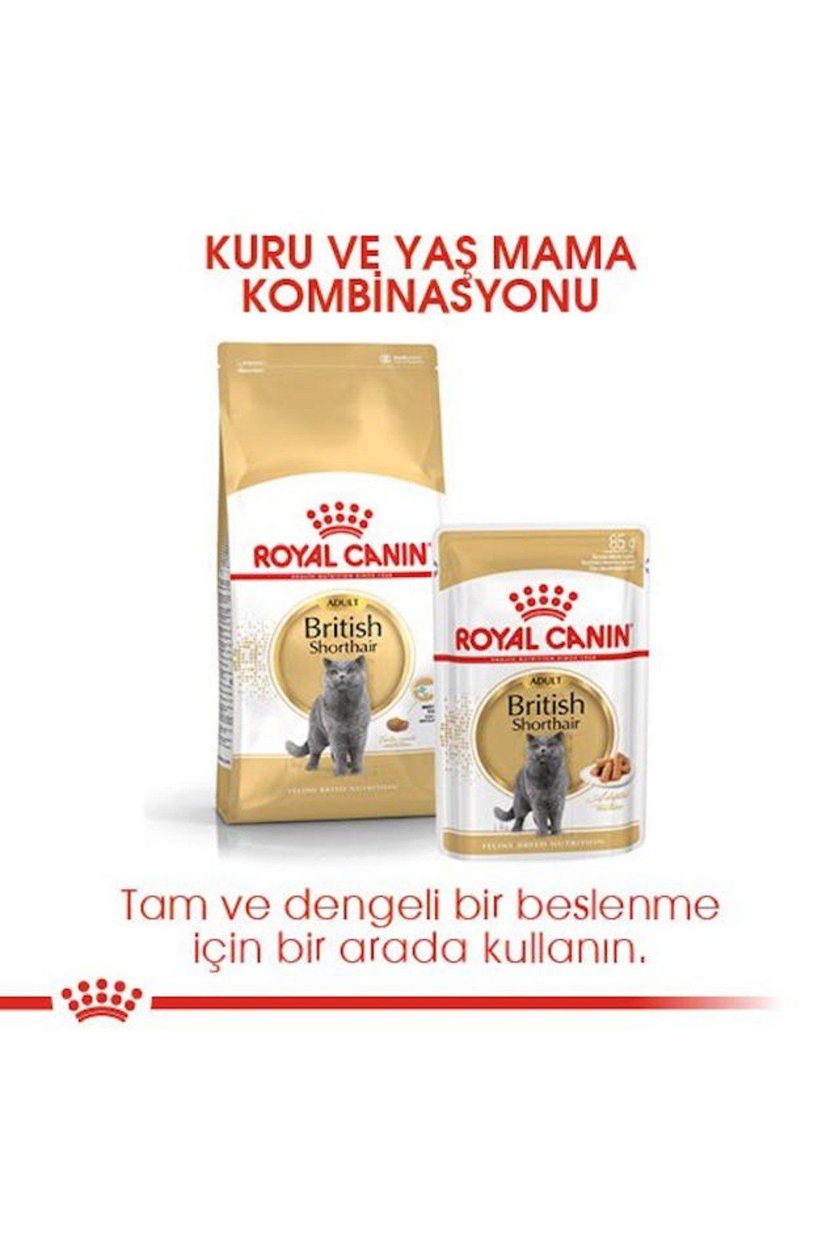 British Shorthair Adult Kedi Kuru Maması 2 Kg