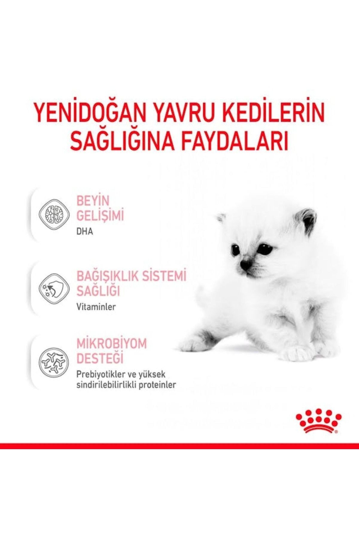 Cat Kedi Süt Tozu 300gr