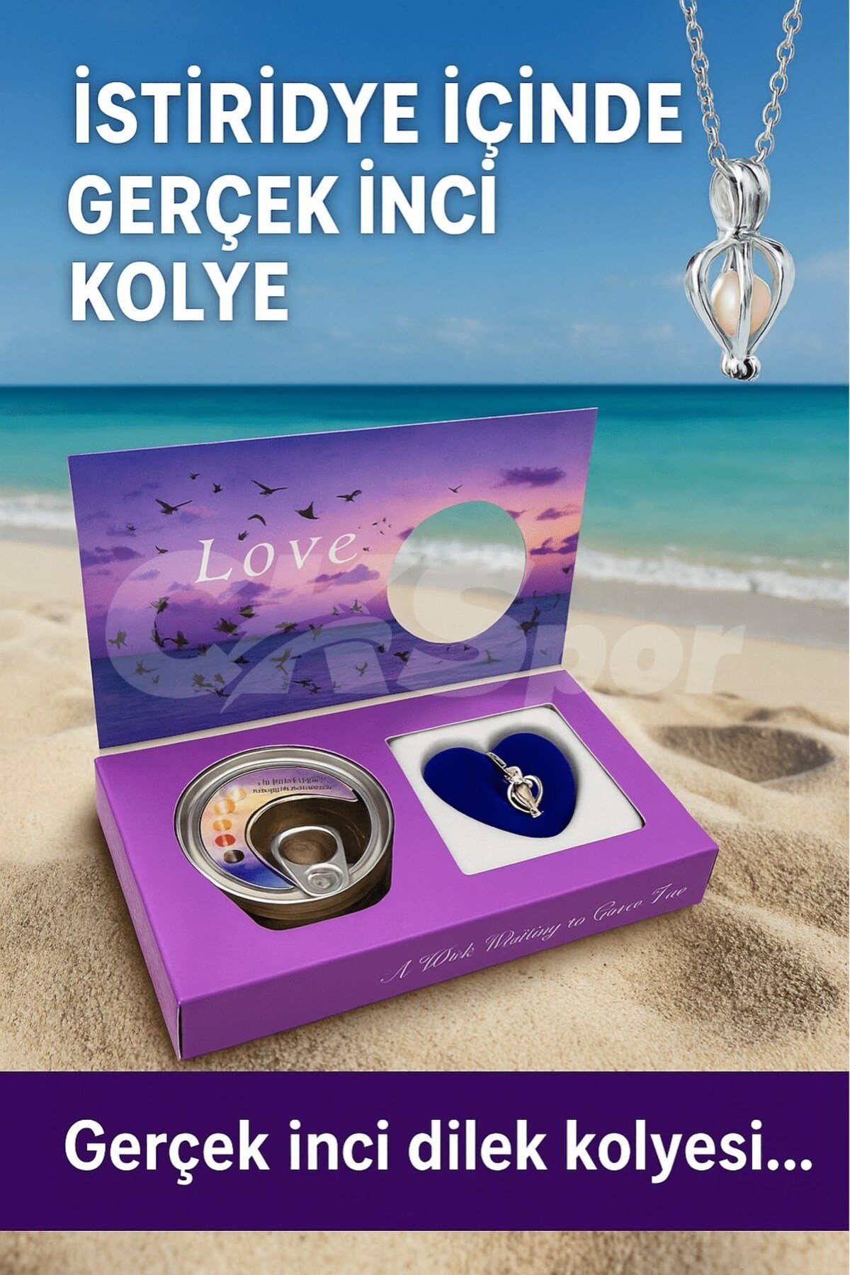 Istiridye Içinde Gerçek Inci Kolye