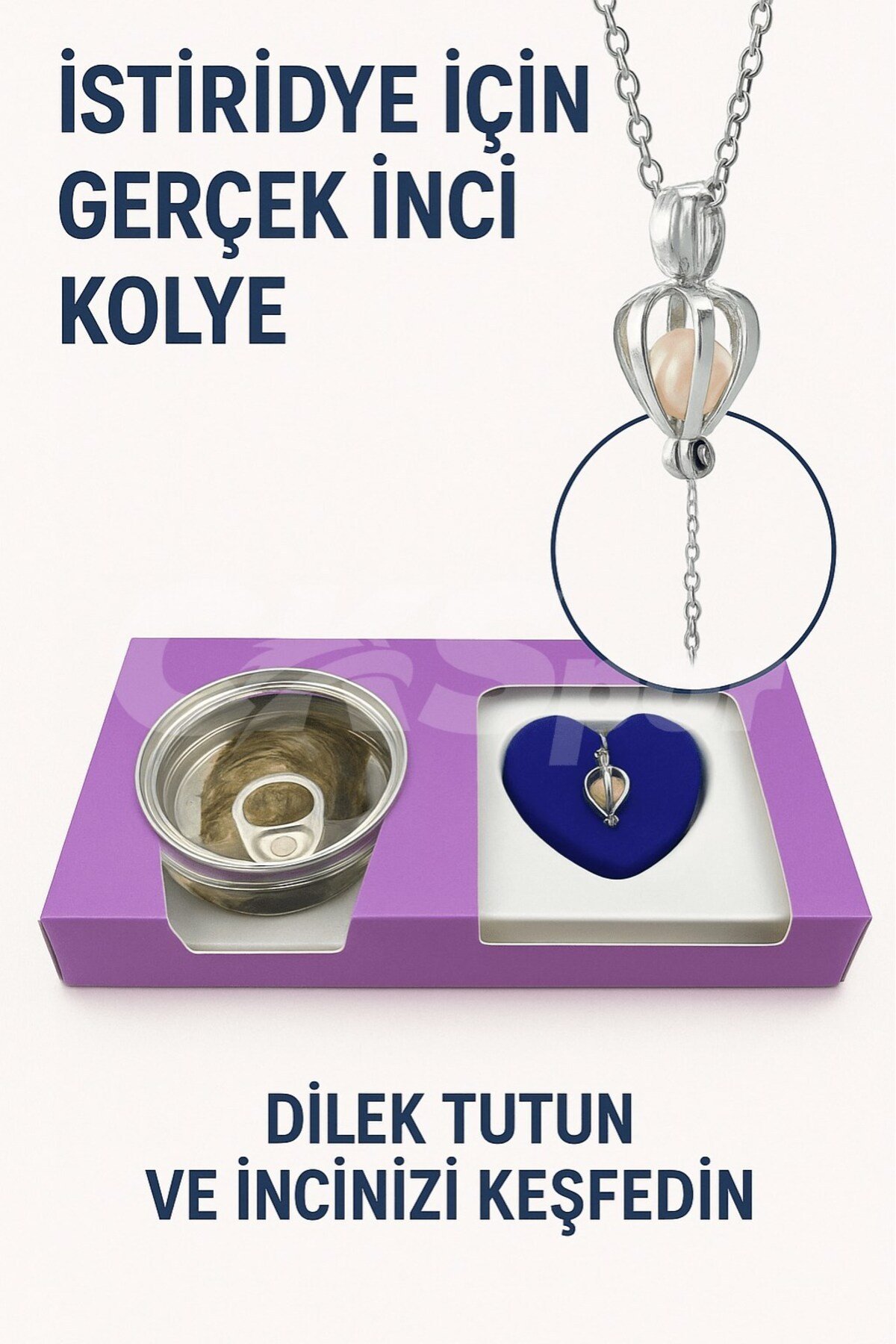 Istiridye Içinde Gerçek Inci Kolye