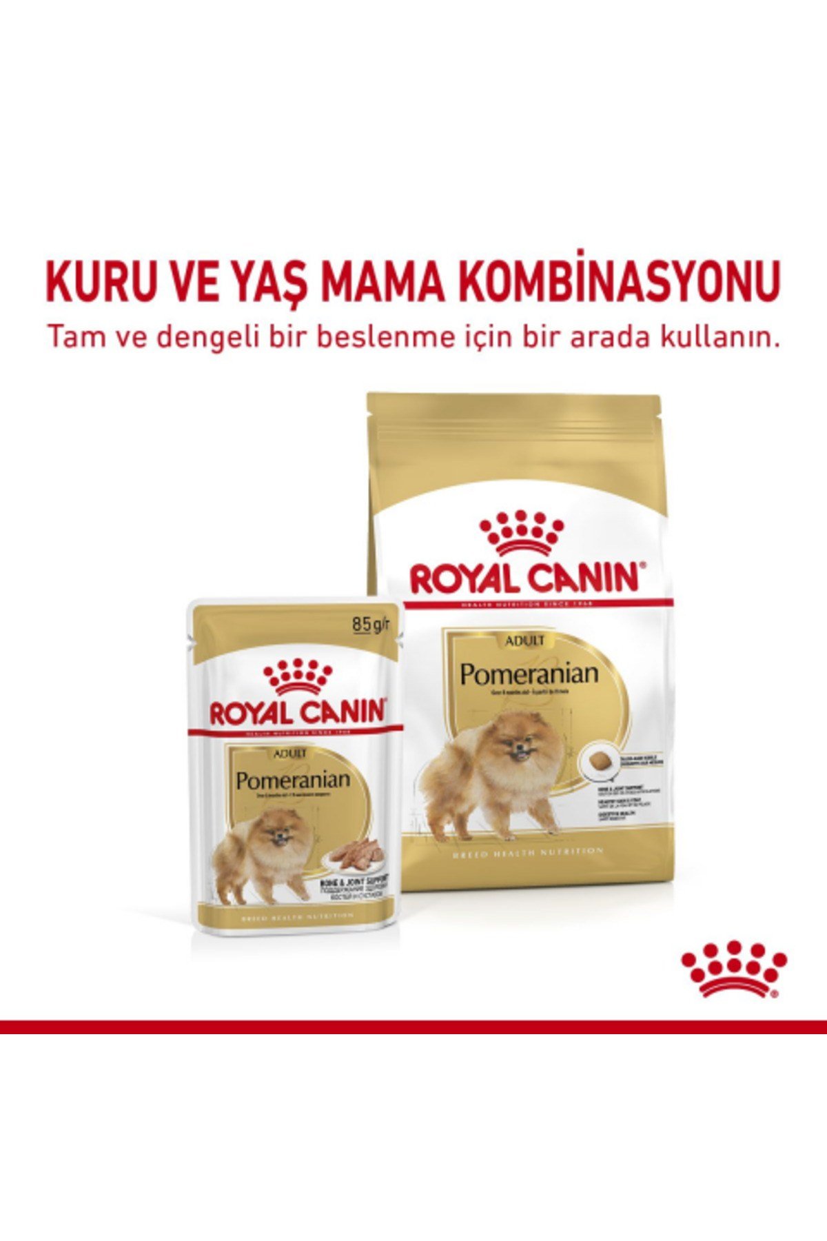 Köpek Mama Pomeranian Köpek Konserve 12X85GR