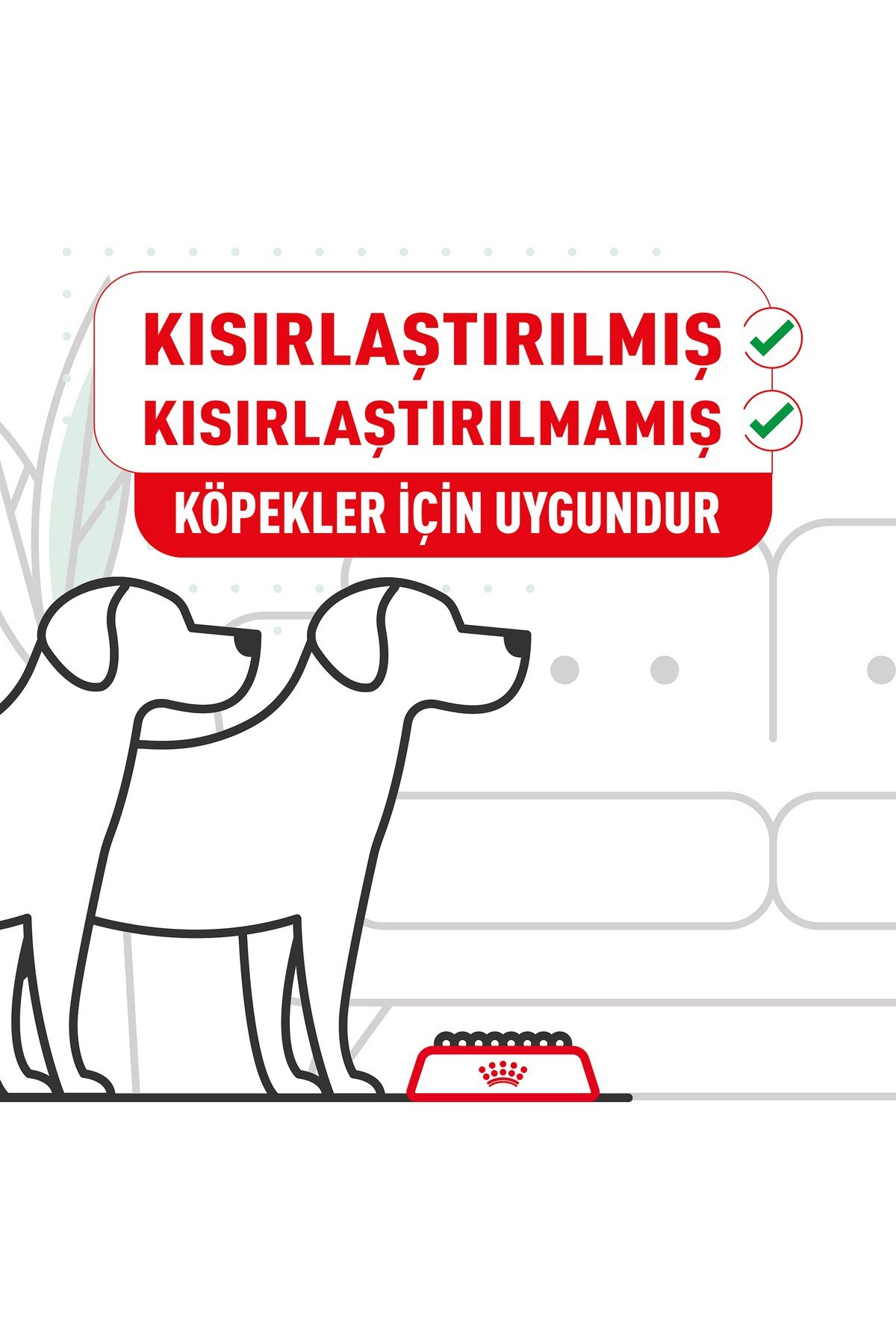 Mini Ageing 12+ Pouch Yaşlı Köpek Konservesi 12 Adet 85 Gr