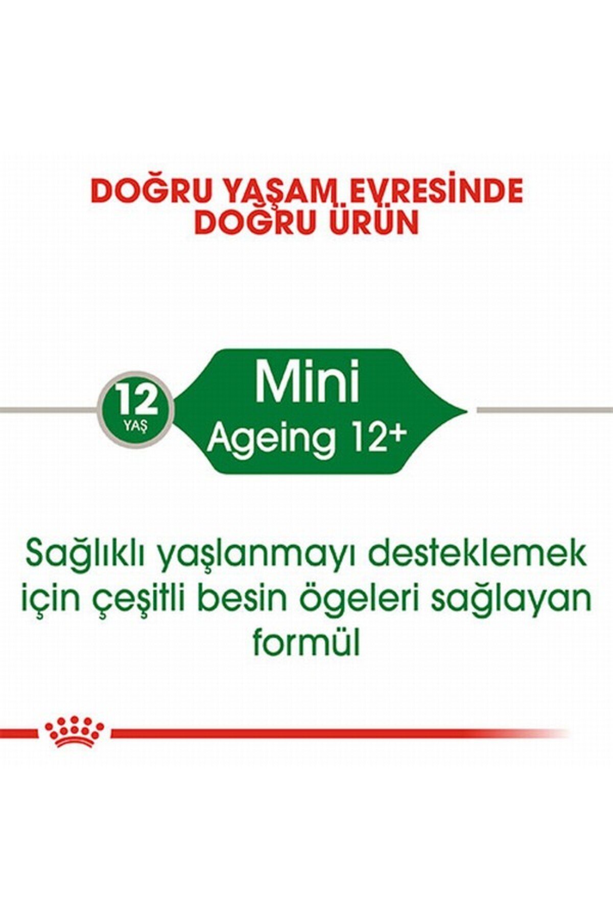 Mini Ageing 12+ Pouch Yaşlı Köpek Konservesi 12 Adet 85 Gr