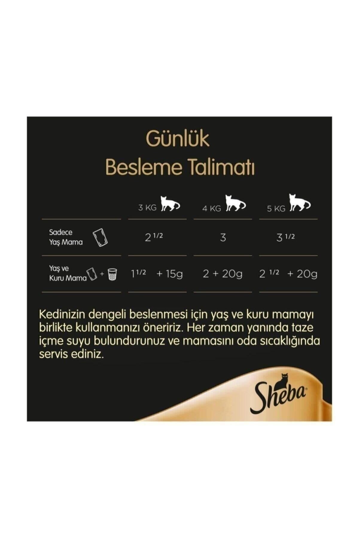 Pouch Yaş Mama Somonlu 85 Gr 12 Adet