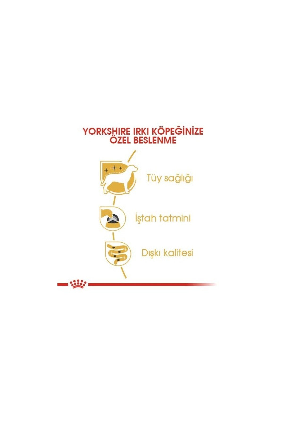 Yorkshire Terrier Yaş Köpek Maması 12 X 85g