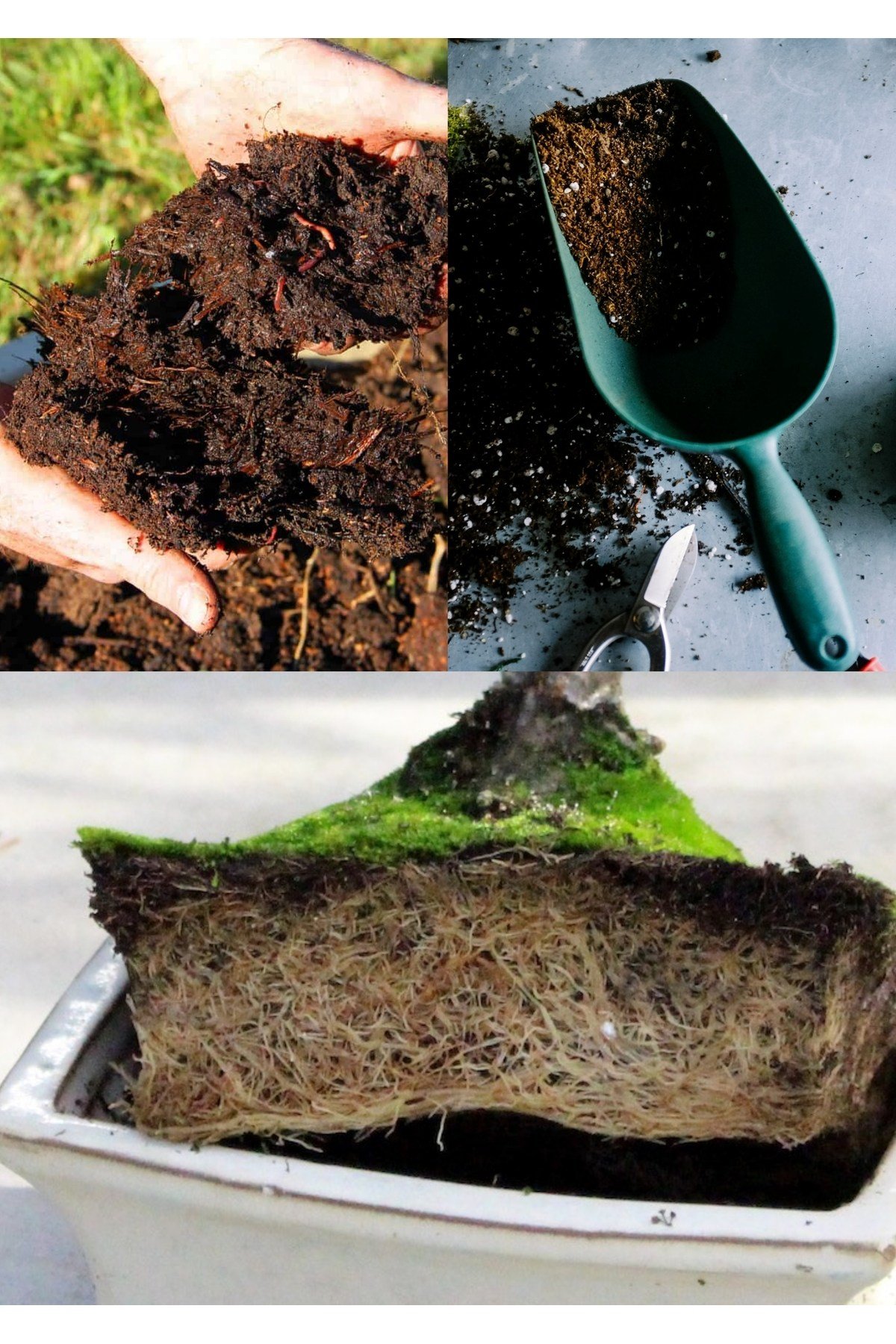 15 litre Bonsai Toprağı %100 Organik ve Katkısız Torf 17 Bitkinin Çözülmesinden Oluşmuş