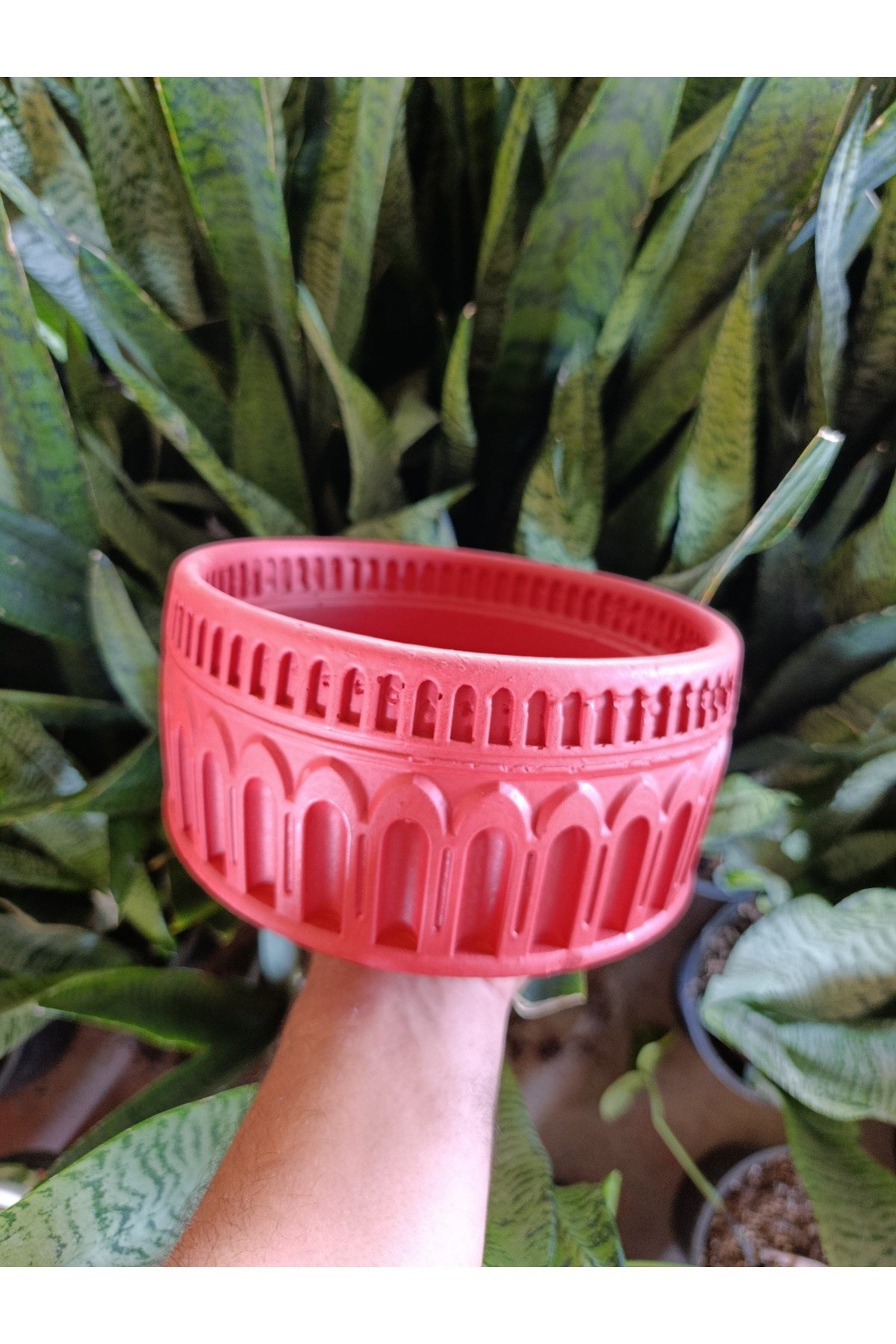 Antik Roma Desenli Taş Saksı 21*10 cm Para Çiçeği İle