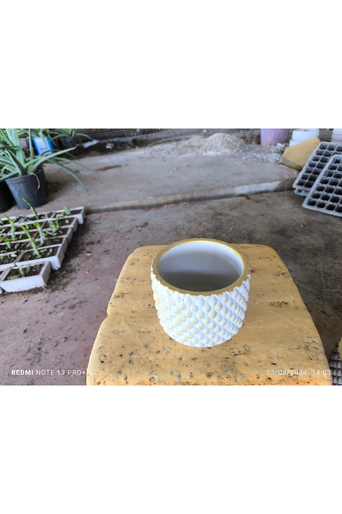 Beton orkide bonsai ve aranjman saksısı