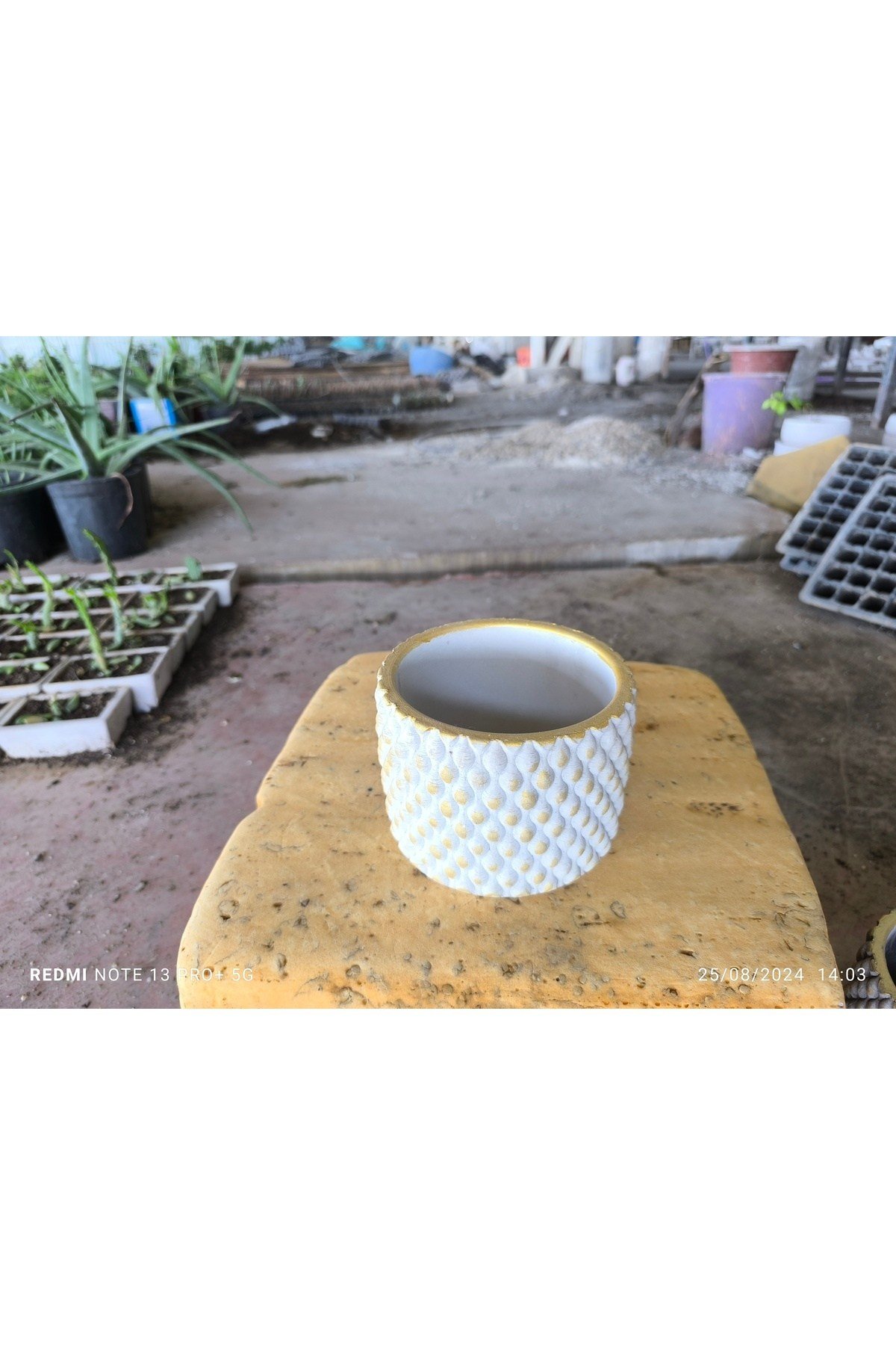 Beton orkide bonsai ve aranjman saksısı