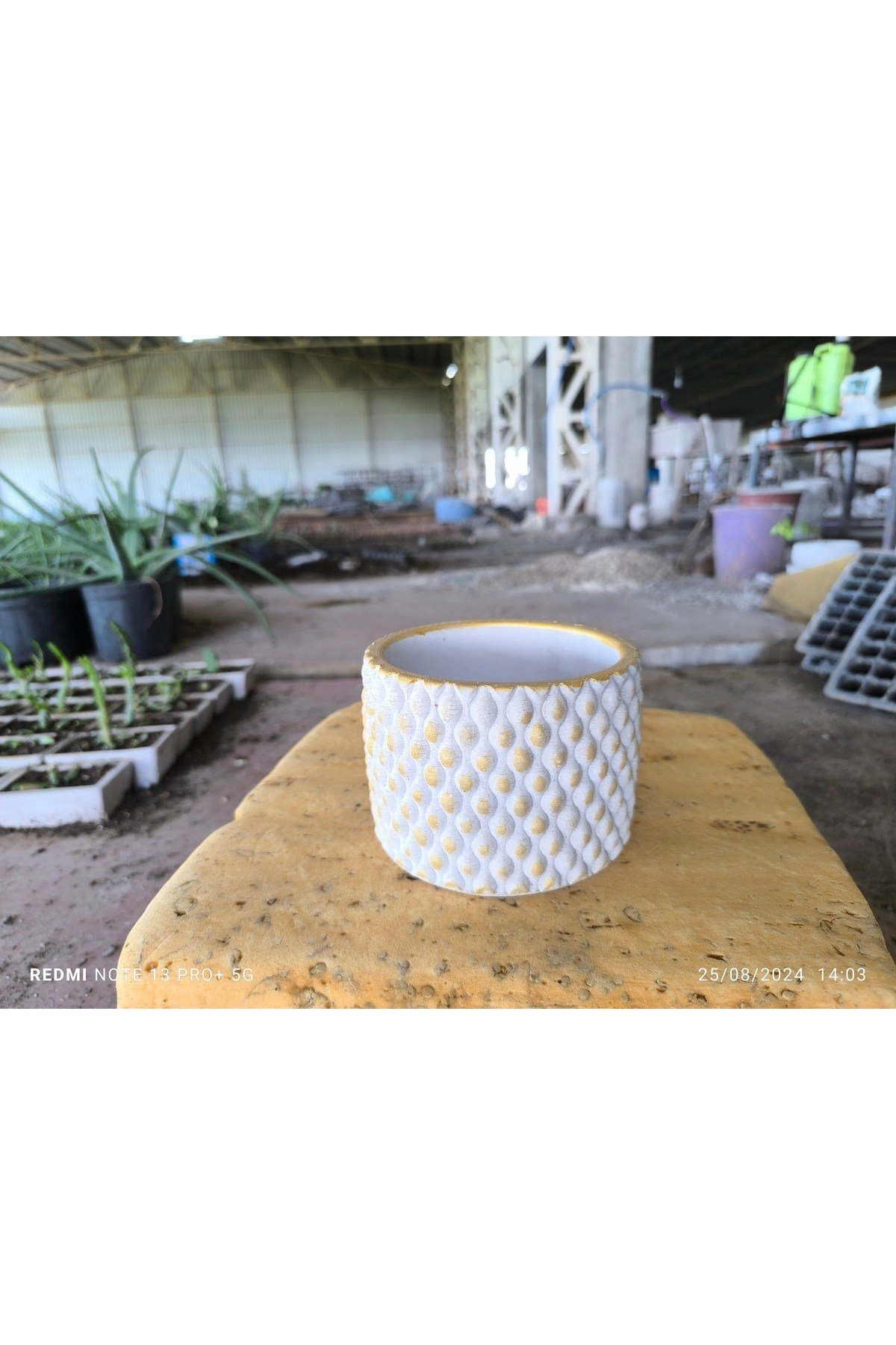 Beton orkide bonsai ve aranjman saksısı
