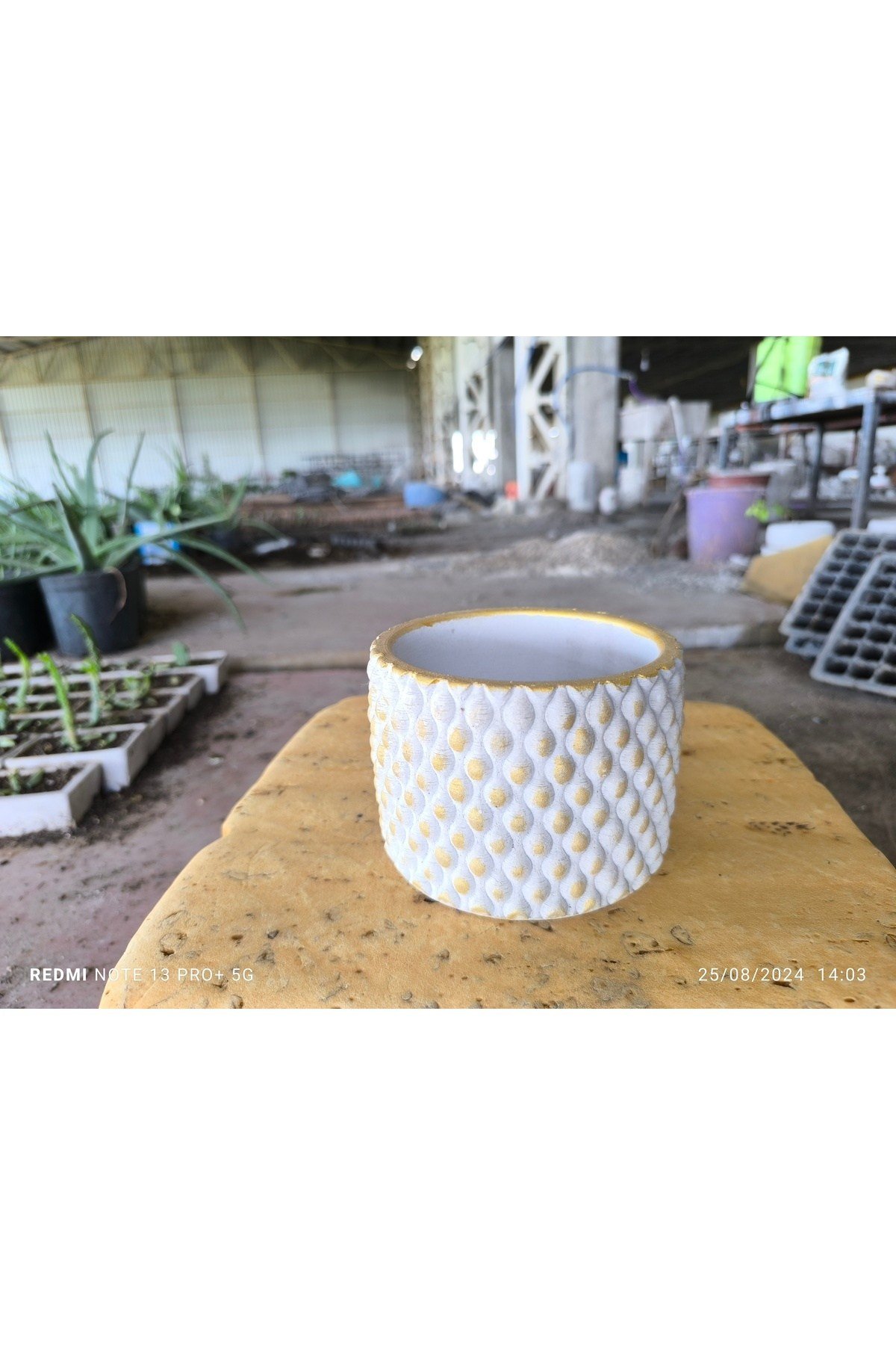 Beton orkide bonsai ve aranjman saksısı