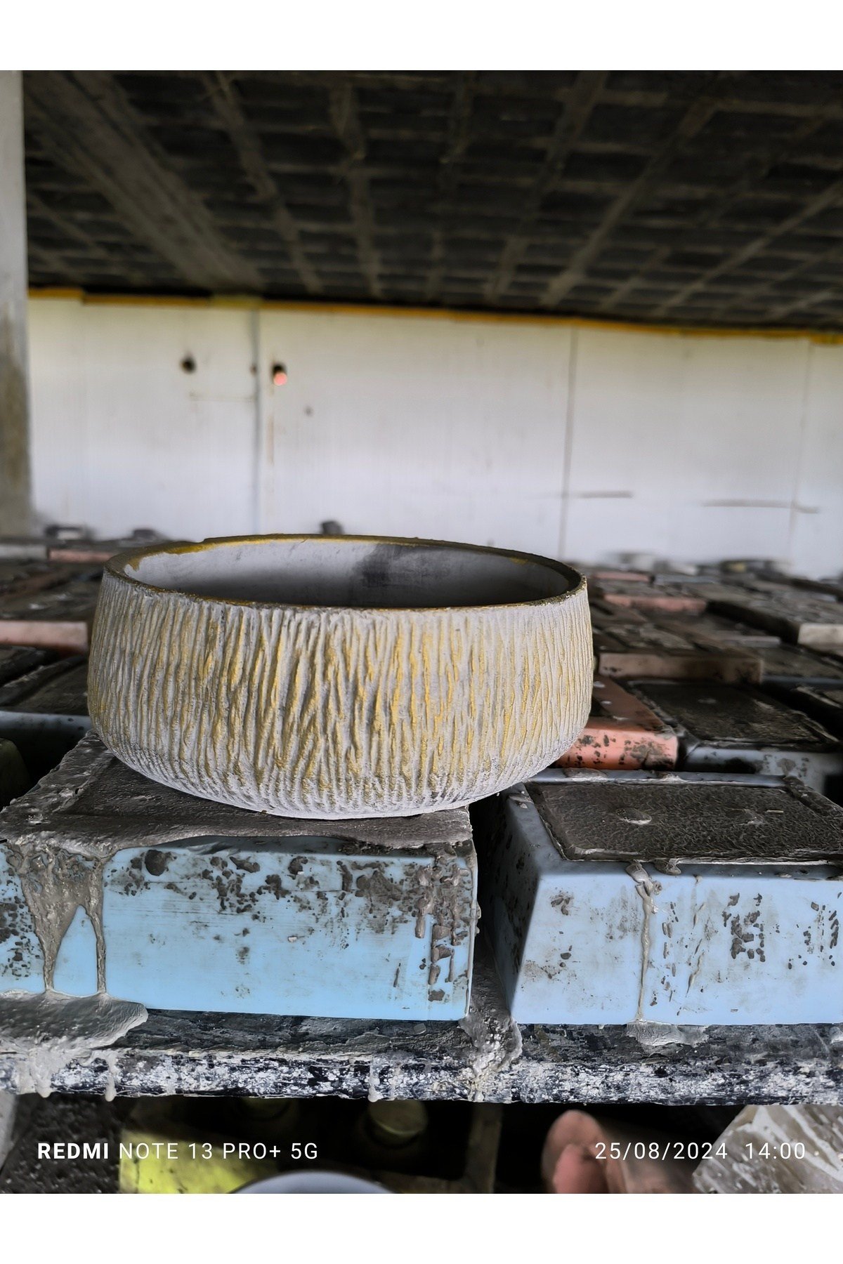 Beton orkide bonsai ve aranjman saksısı