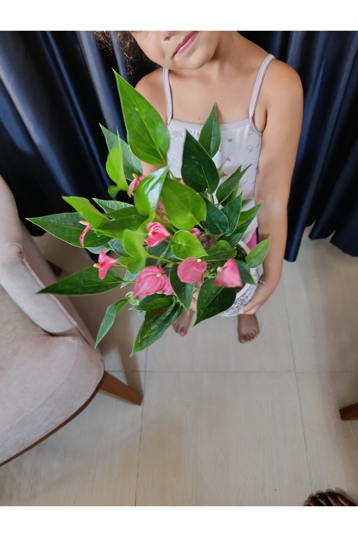 Çiçek Figürlü Taş Saksıda Flamingo Çiçeği