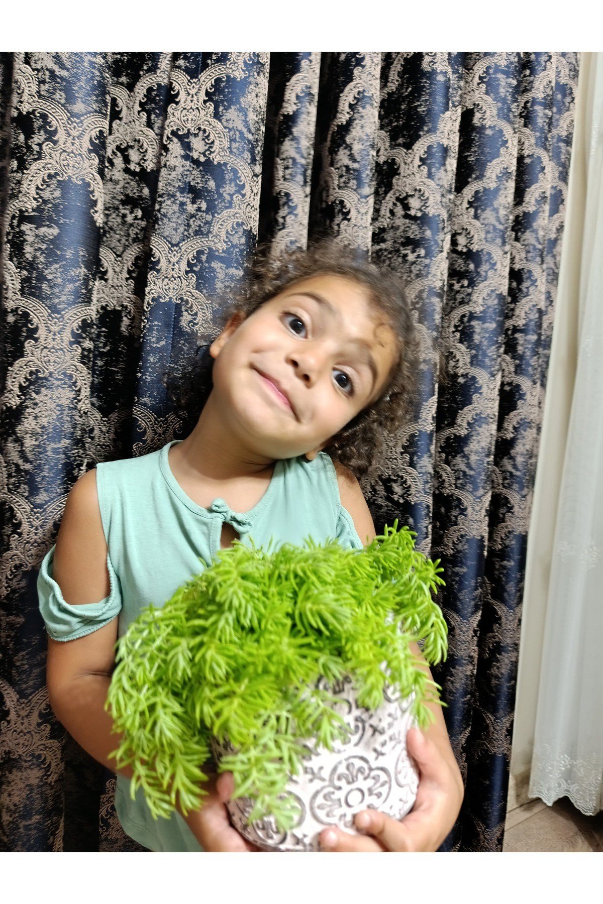 Çiçek Figürlü Taş Saksıda Sarı Sedum Sarmaşığı