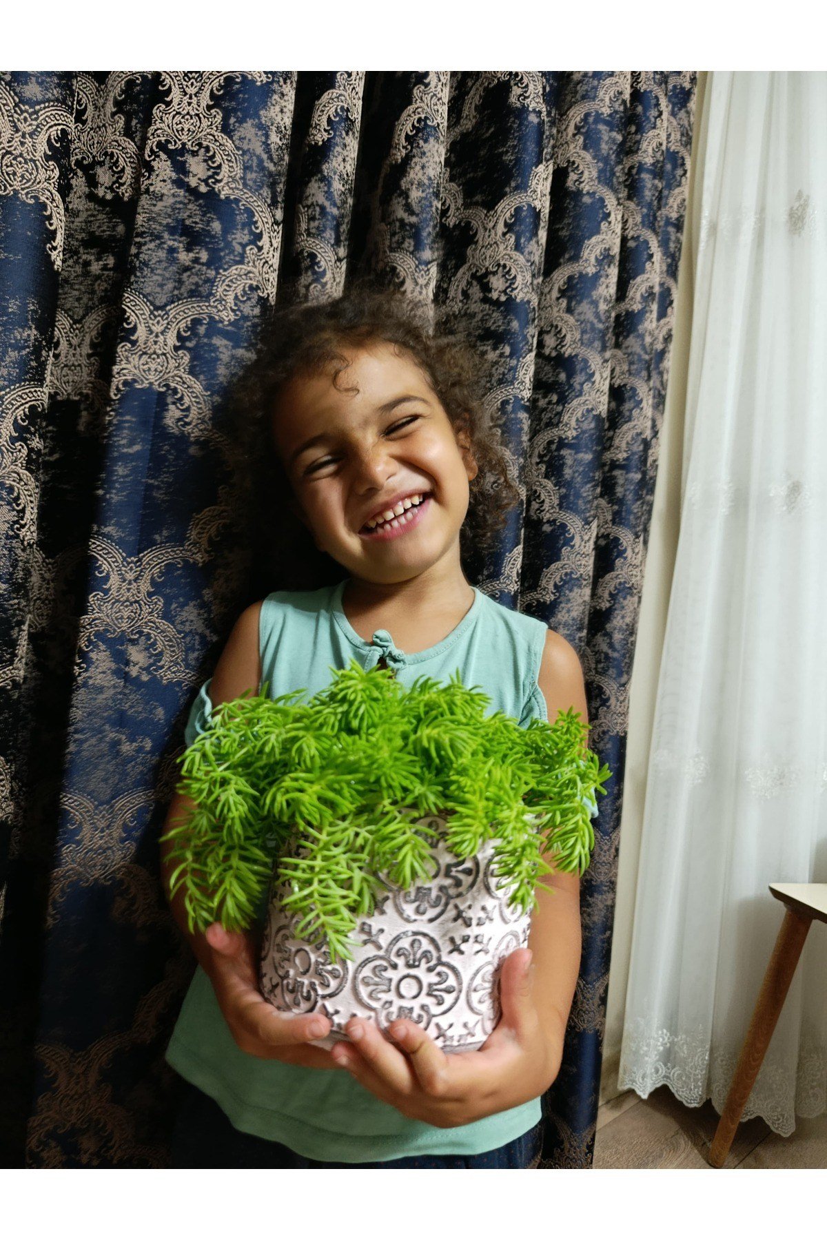 Çiçek Figürlü Taş Saksıda Sarı Sedum Sarmaşığı
