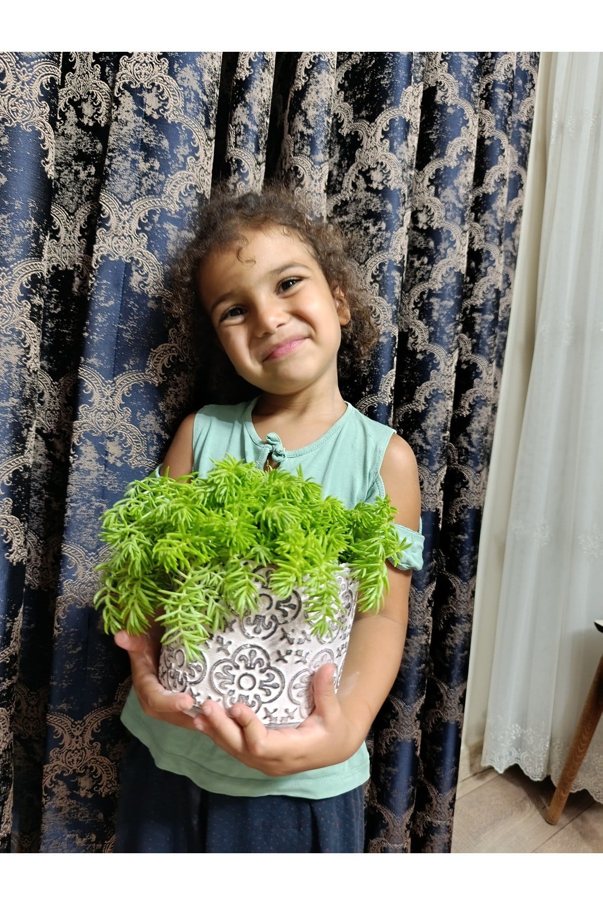 Çiçek Figürlü Taş Saksıda Sarı Sedum Sarmaşığı