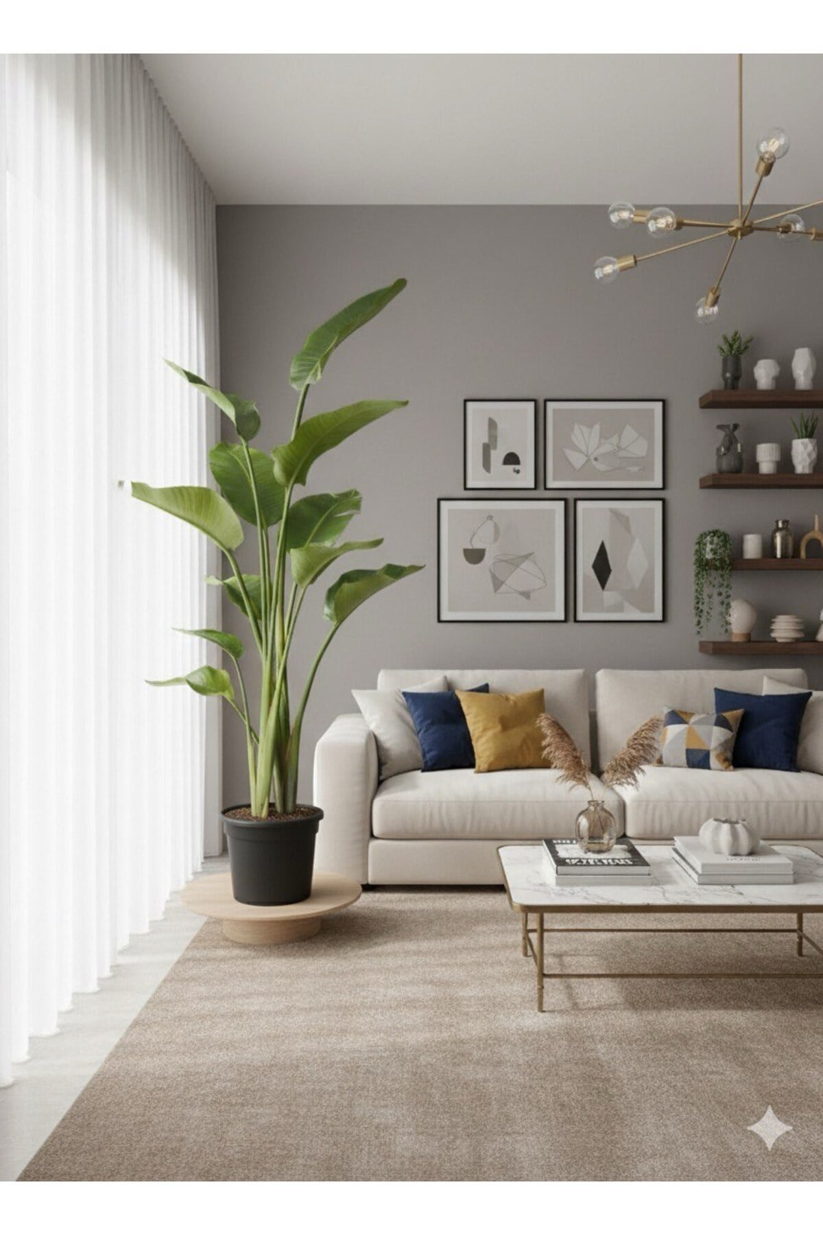 Dev Starliçe (Beyaz Cennet Kuşu Çiçeği) 2 Köklü Strelitzia Nicolai 130 - 160 Cm