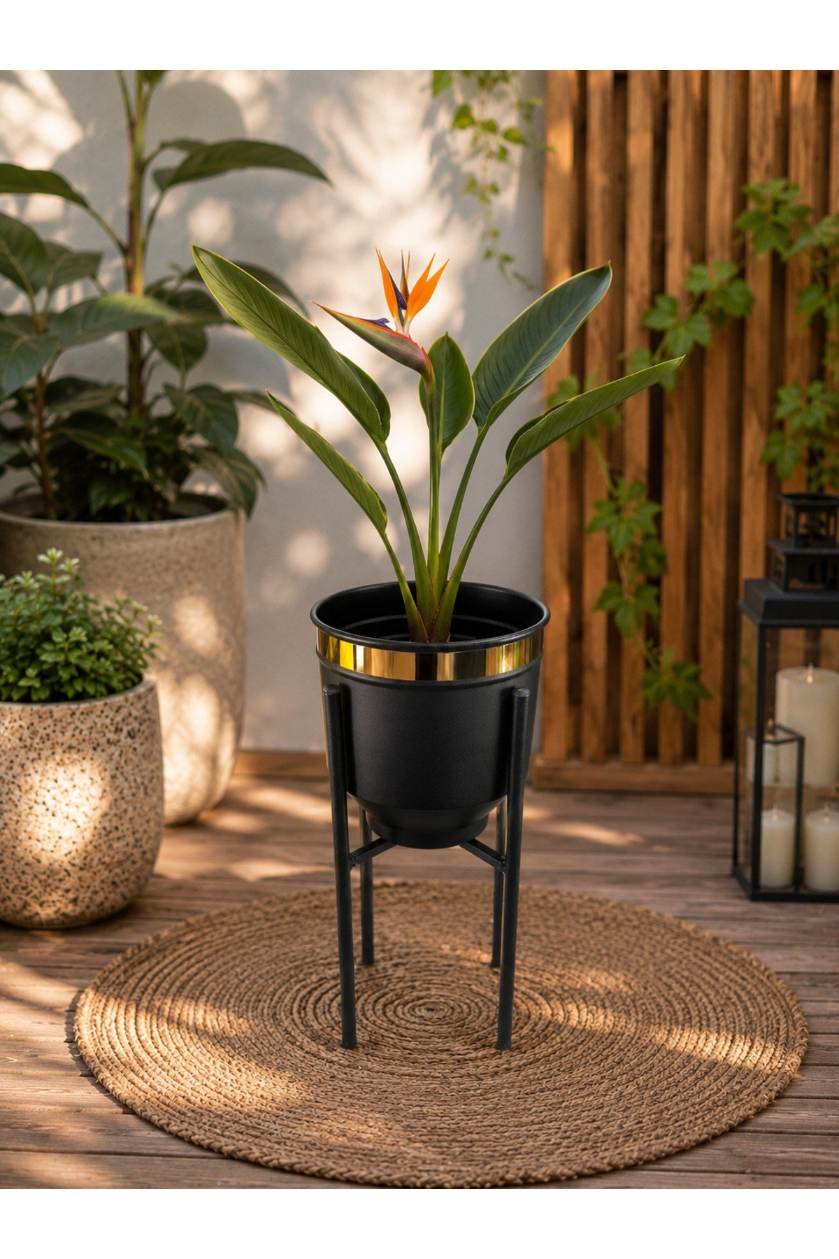 Gold Detaylı Metal Ayaklı Siyah Saksı Standı 40 CM Dekoratif Modern Saksılık