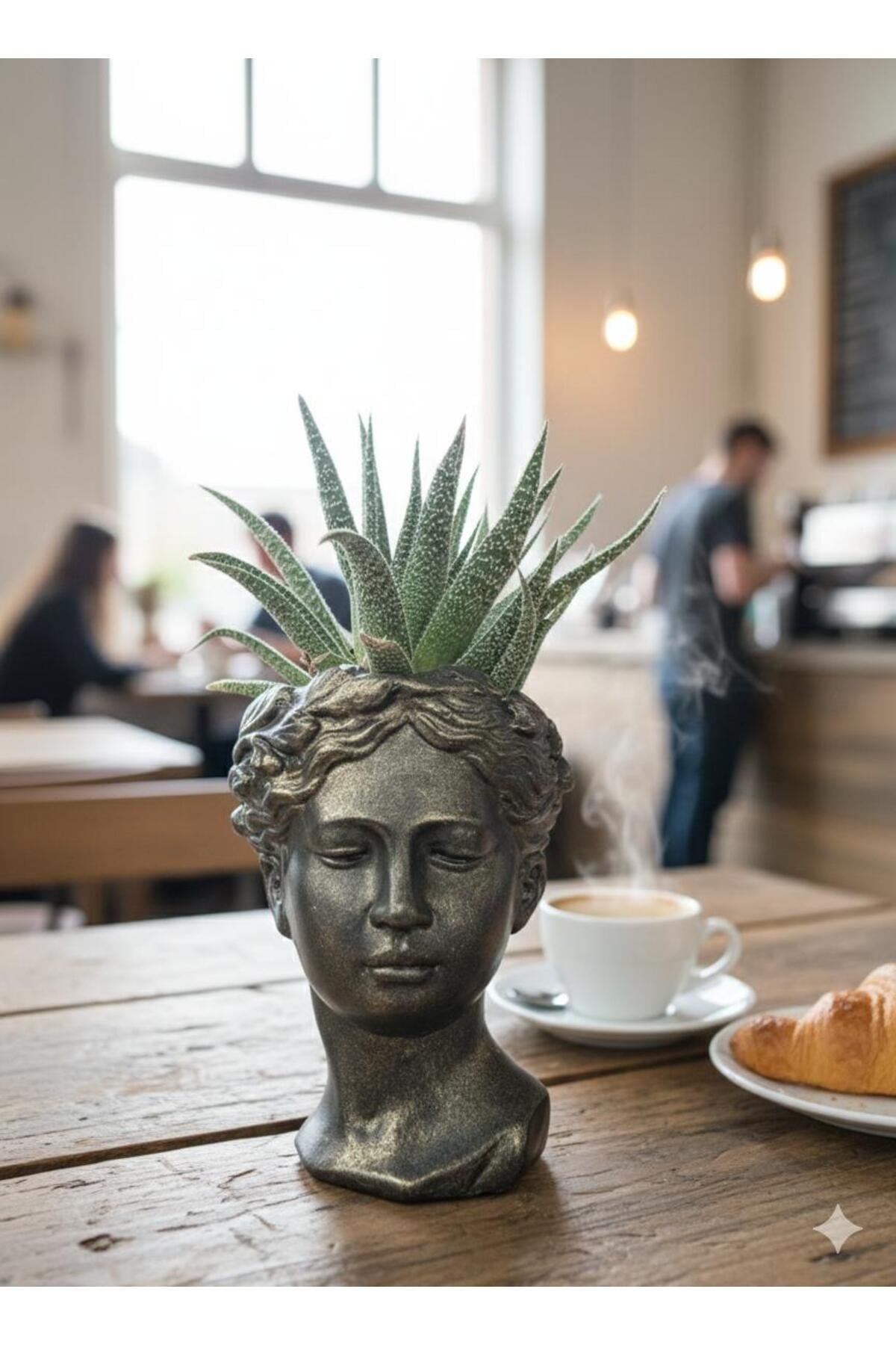 Helen serisi büst saksı ve howartia kaktüsü
