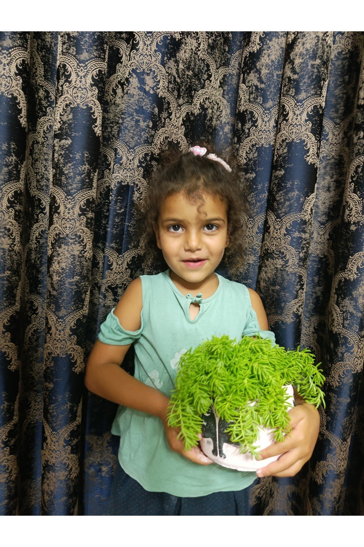 Kadın Figürlü Taş Saksıda Sarı Sedum Sarmaşığı
