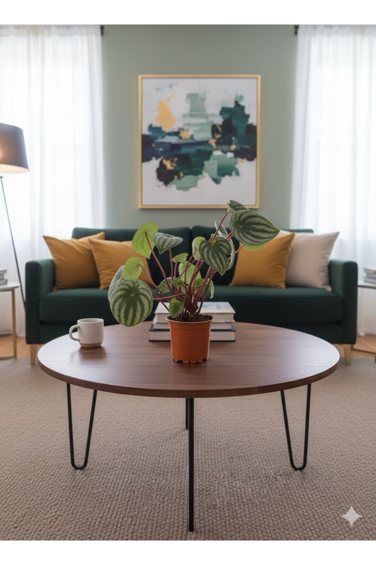 Karpuz Peperomia Argyreia (Watermelon Peperomia) - Eşsiz Yaprak Desenli Salon Bitkisi