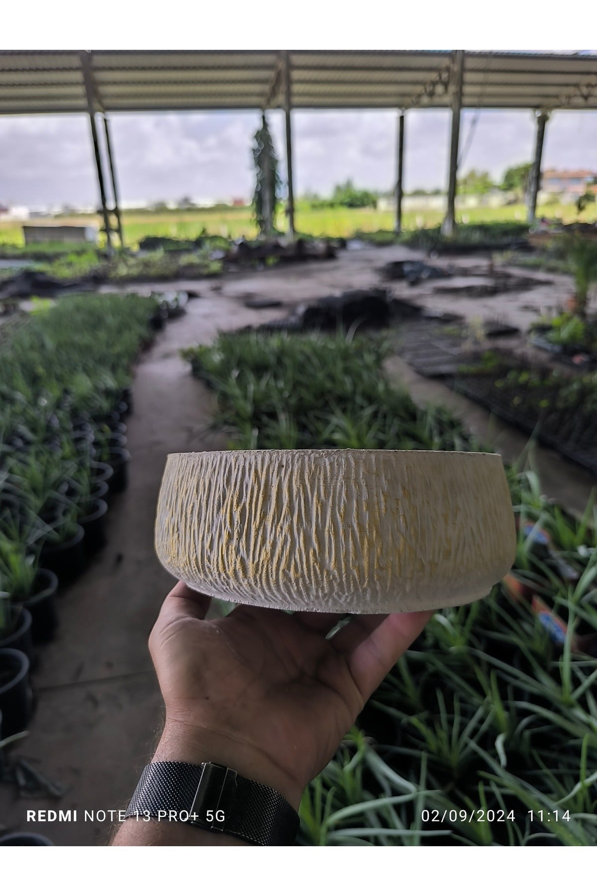 Kırçıllı taş Orkide bonsai ve aranjman saksısı no 1
