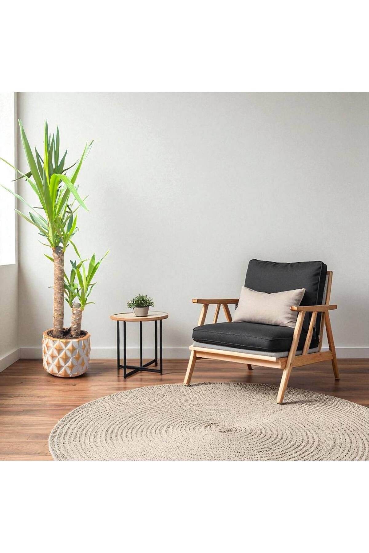 KUTUP YILDIZI TEMALI TAŞ SAKSI DA ÇİFT GÖVDELİ YUCCA - YUKA BİTKİSİ 110-120 CM