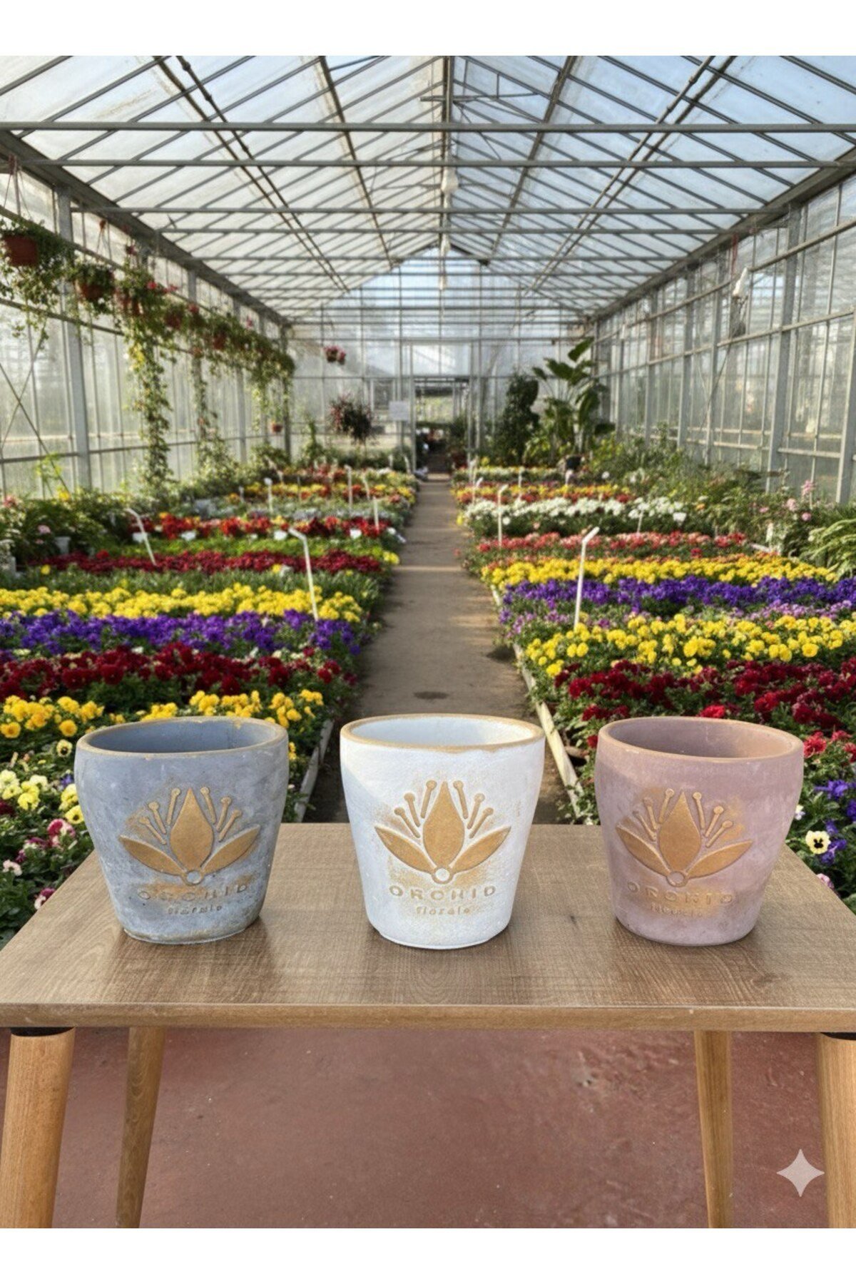 Lotus Desenli Dekoratif Çiçek ve Orkide Saksı - 3 Farklı Renk
