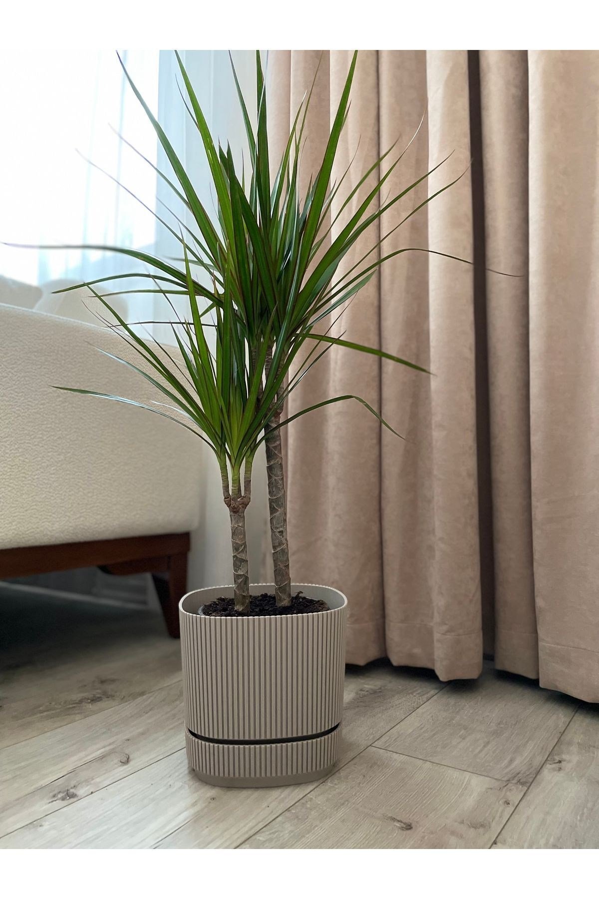 Marginata 2’li