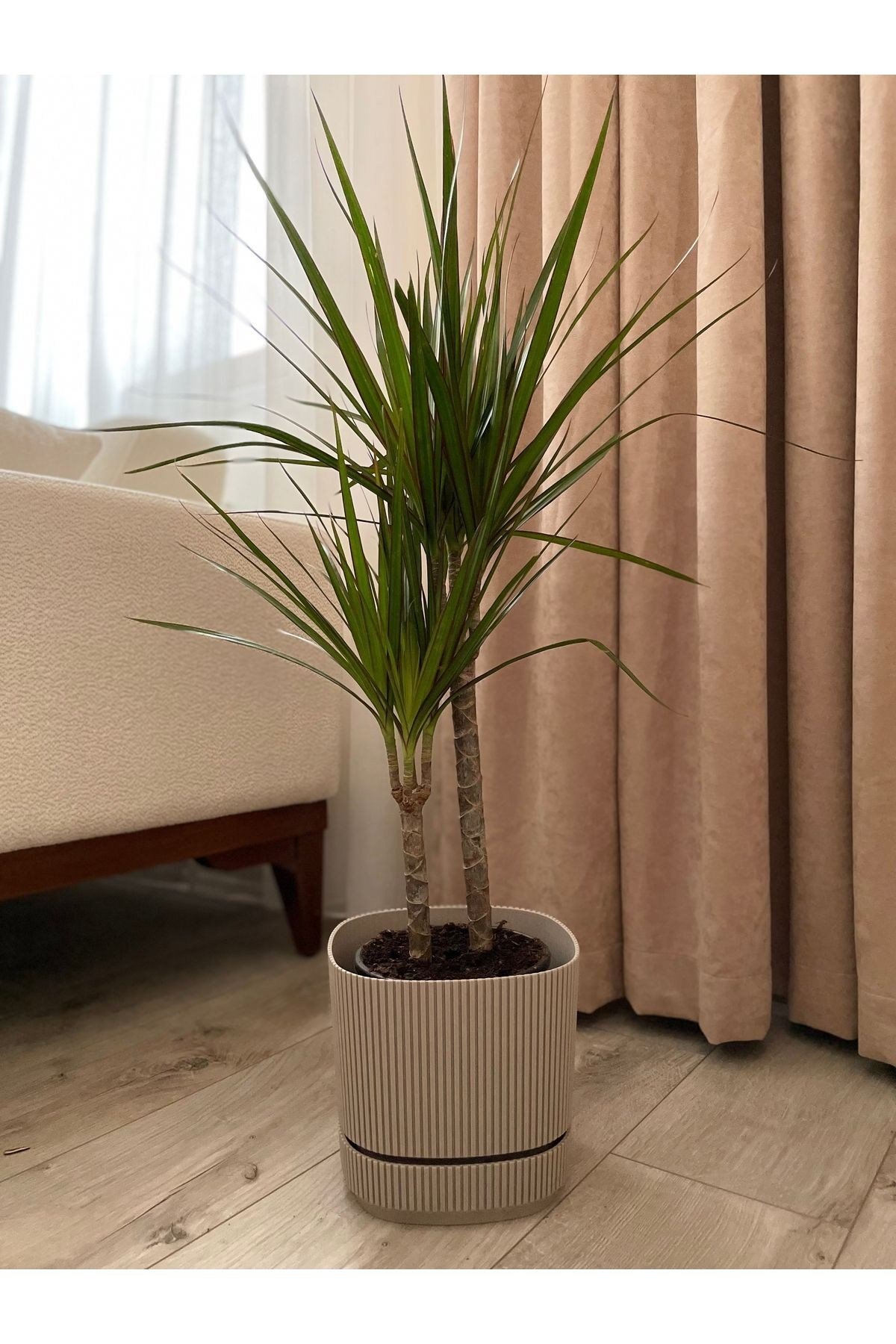 Marginata 2’li