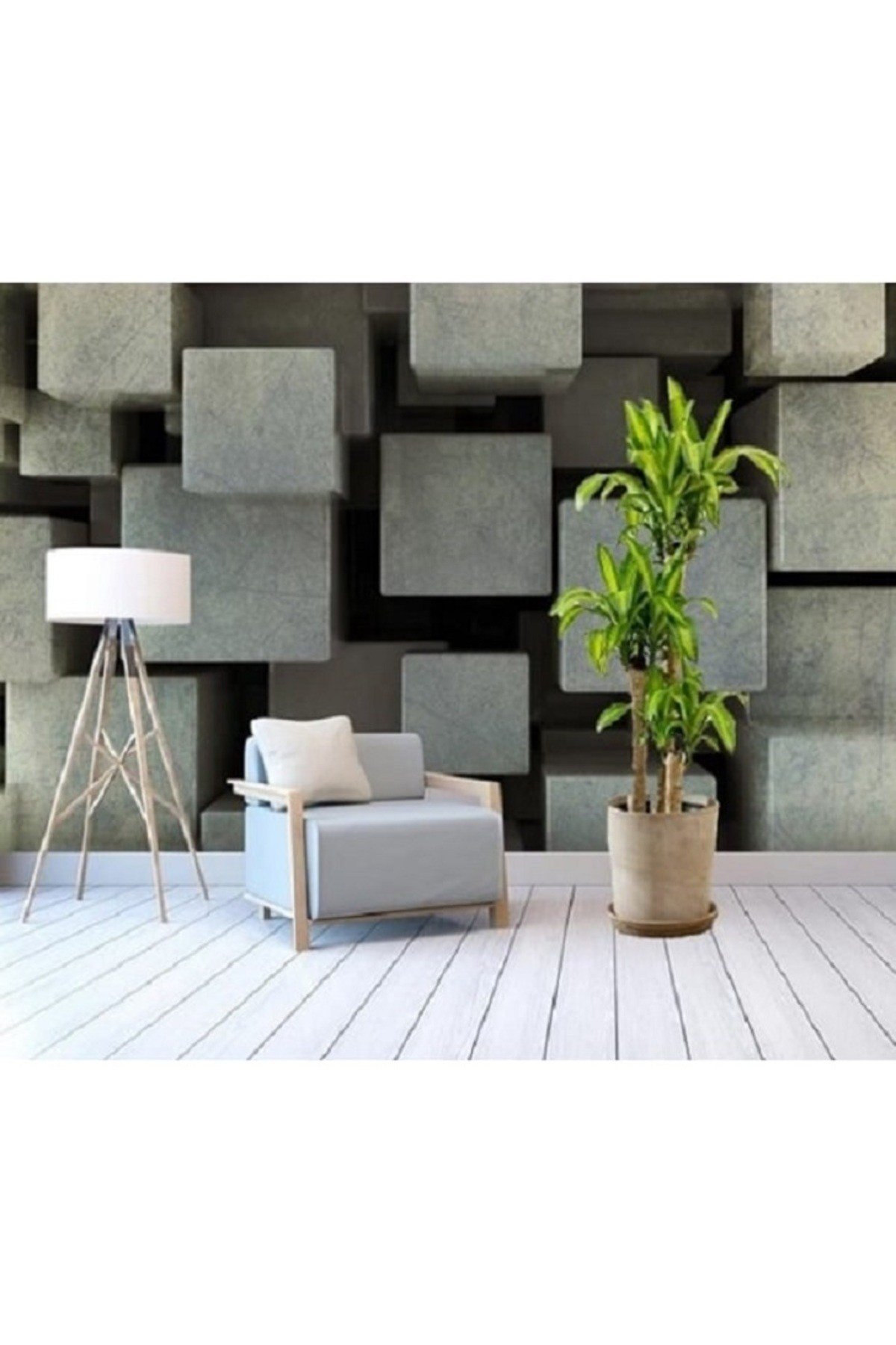 Messengena Yucca 3 Kök Açılış Kutlama Tebrik Çiçeği Ofis Bitkisi Salon Bitkisi