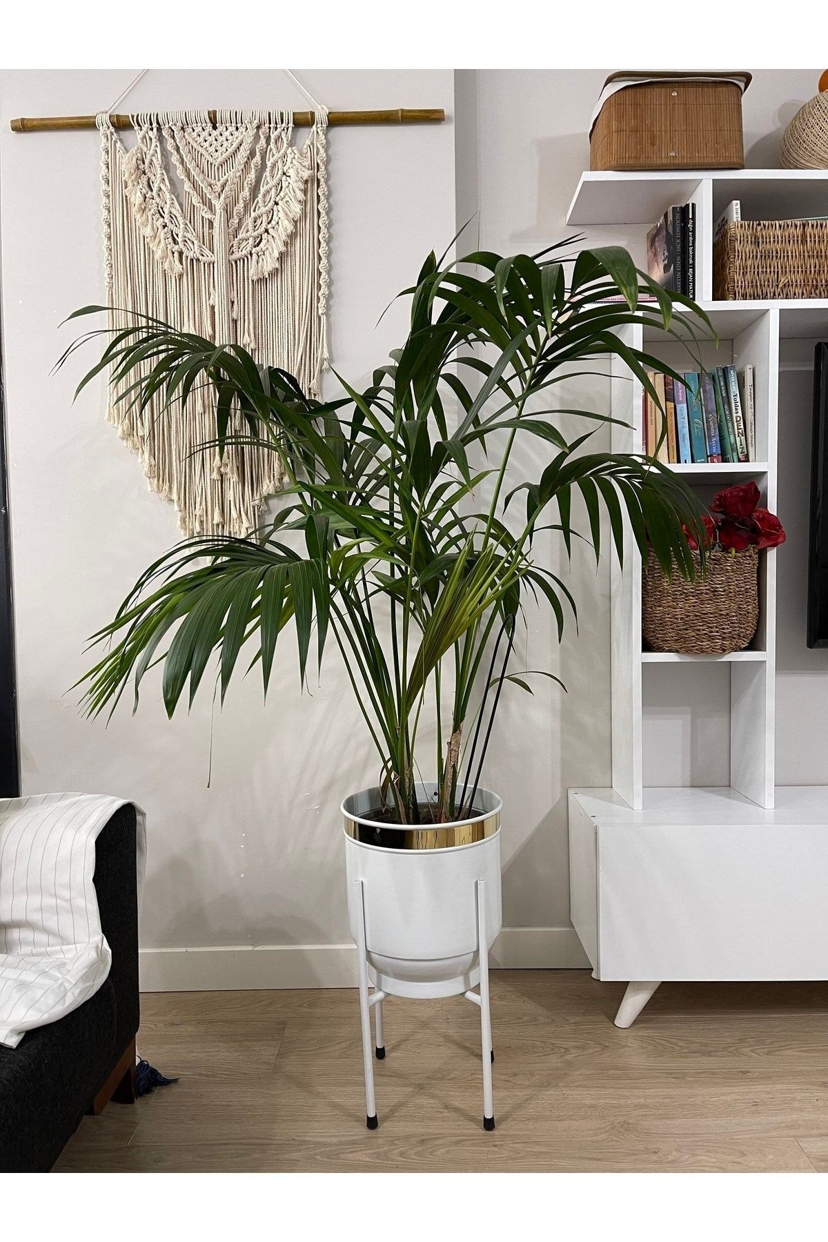 Metal Saksı Ayaklı Çiçeklik Dekoratif Beyaz Saksı Vazo Saksılık 50x30cm