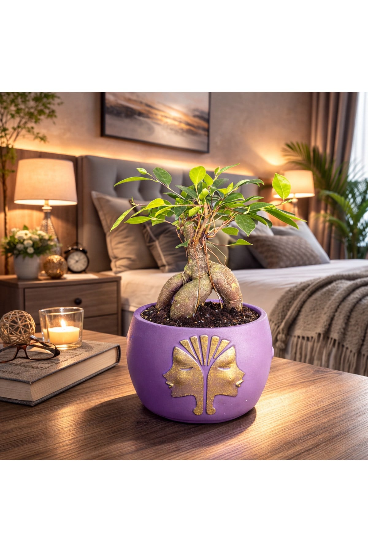 Mor Dekoratif Saksıda Ficus Ginseng Bonsai – Mini Masaüstü Ofis ve Ev Bitkisi