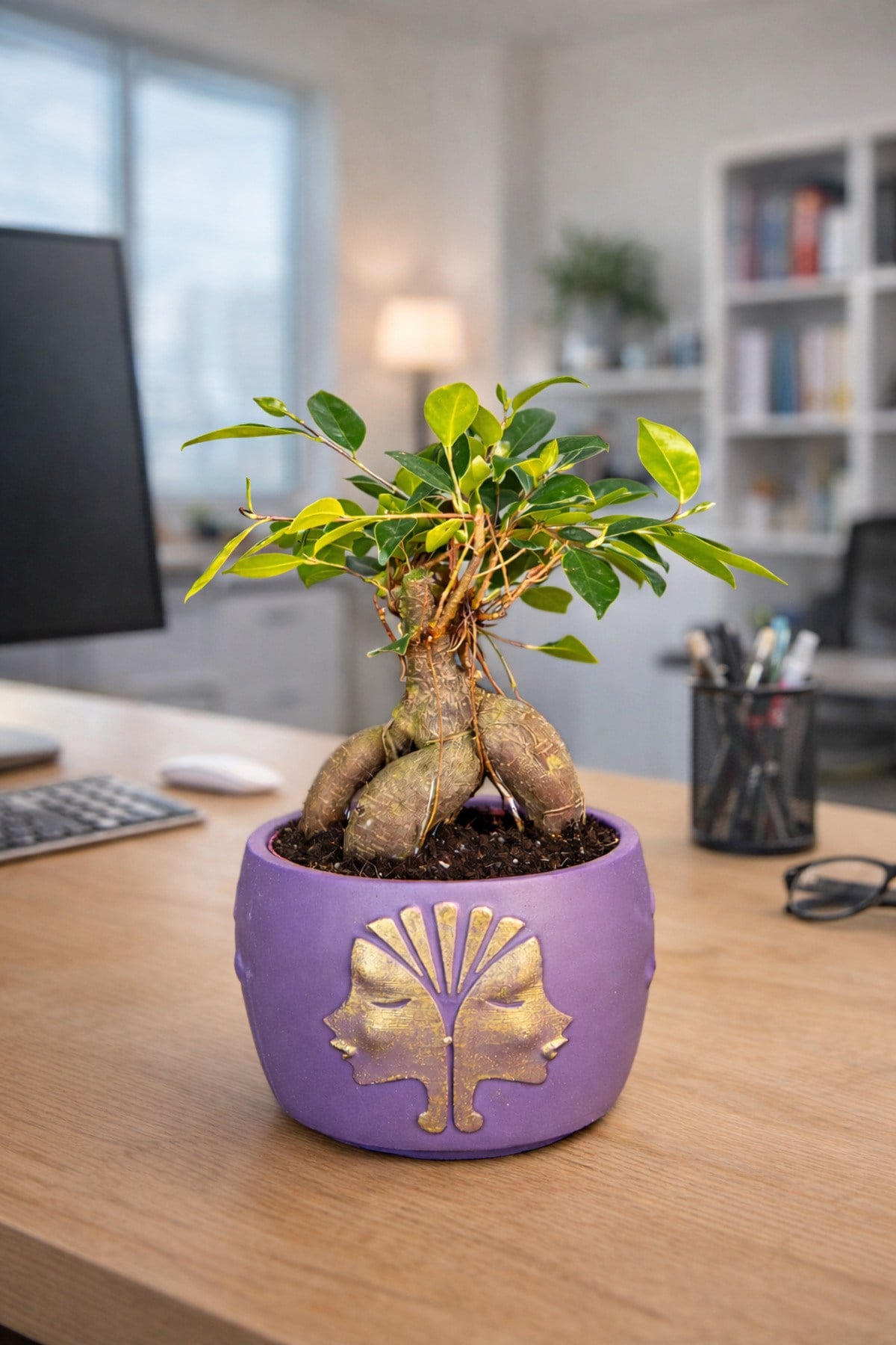 Mor Dekoratif Saksıda Ficus Ginseng Bonsai – Mini Masaüstü Ofis ve Ev Bitkisi