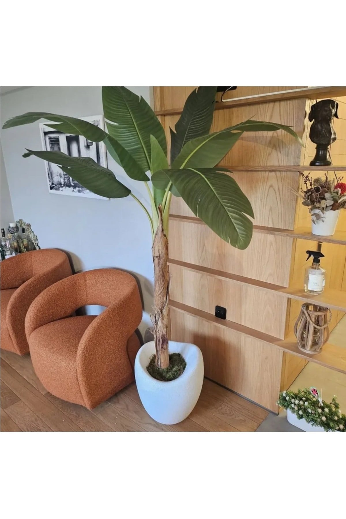 MyDecorZa BOHEM HOME FİBERGLAS BAHÇE ve EV DEKORASYONU SAKSI YUMURTA MODELİ 45 cm x 45 cm