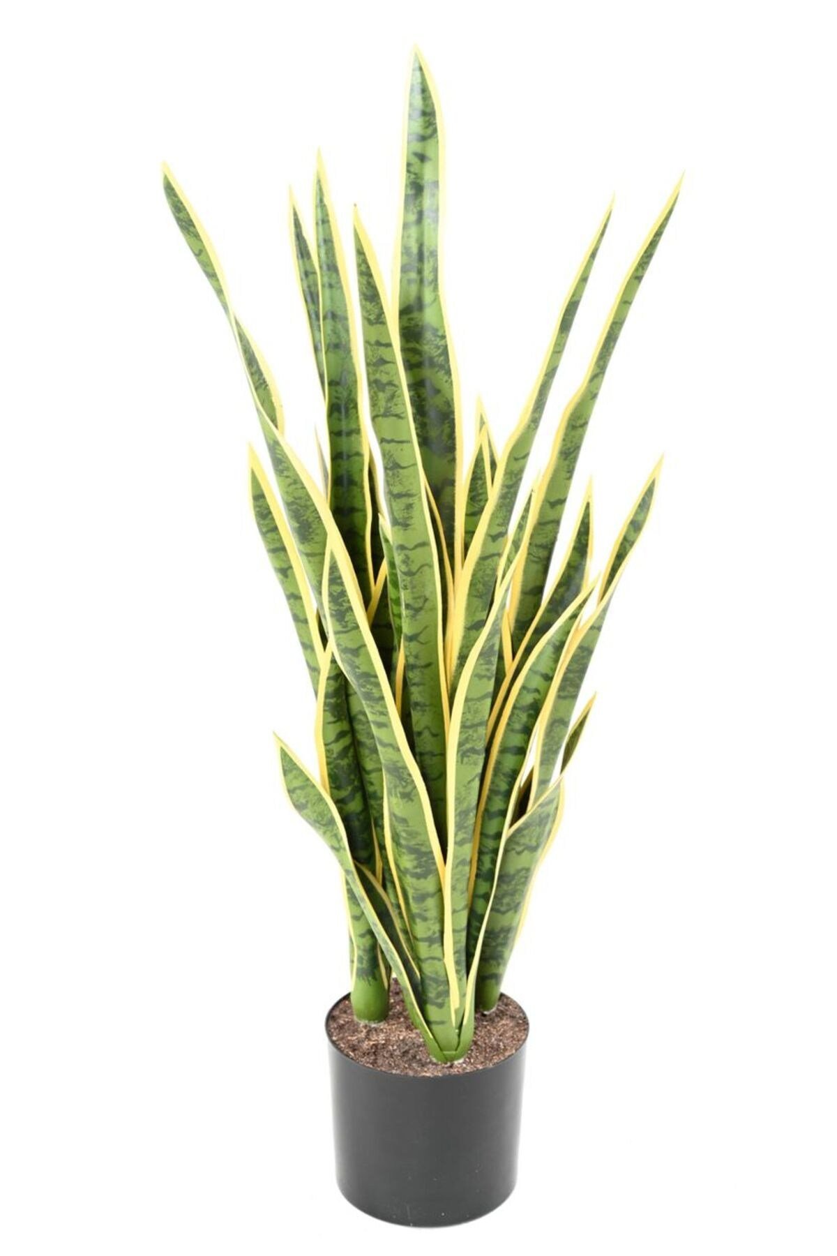 Sarı Çizgili Anaç Paşa Kılıcı 90-120 cm