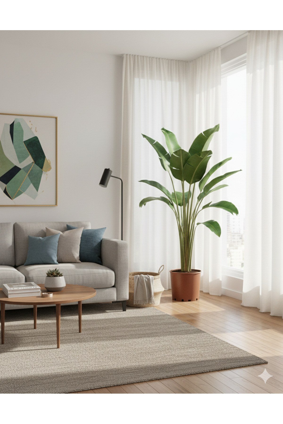 Strarliçe 270 - 300 cm Strelitzia Cennet Kuşu