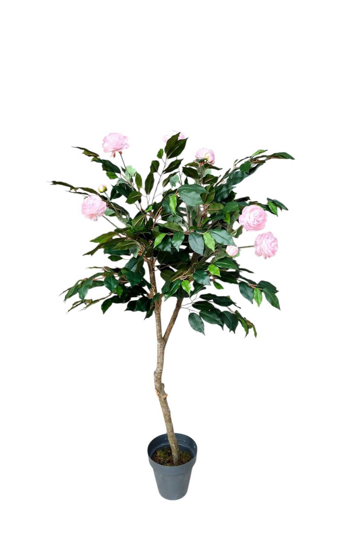 Yapay Ağaç Kamelya 130 Cm Boyunda Dekoratif Modern İç Mekan Bitkisi