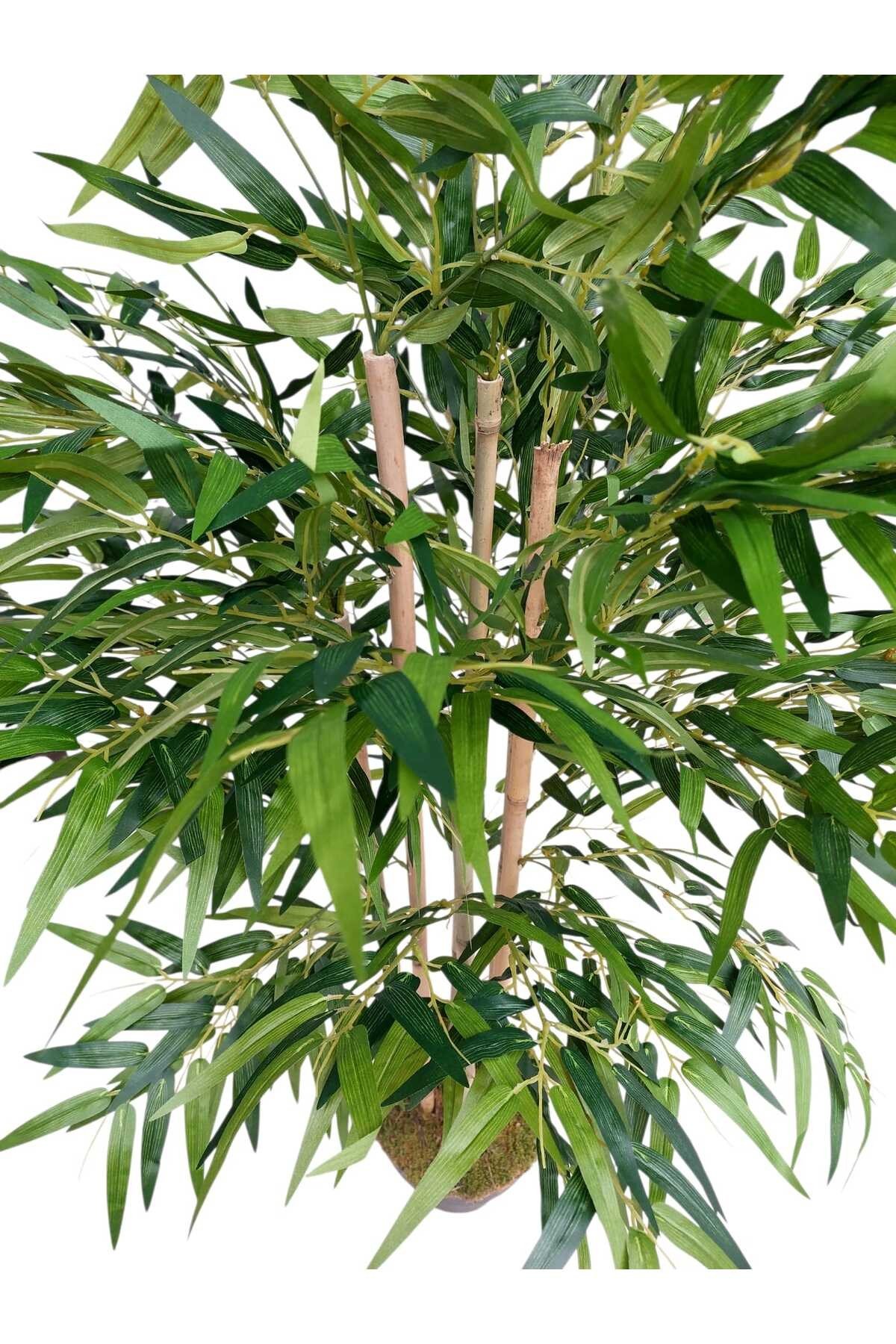 YAPAY BAMBU 6 GÖVDELİ LÜKS YAPRAKLI 160 CM BOYUNDA DEKORATİF MODERN AĞAÇ